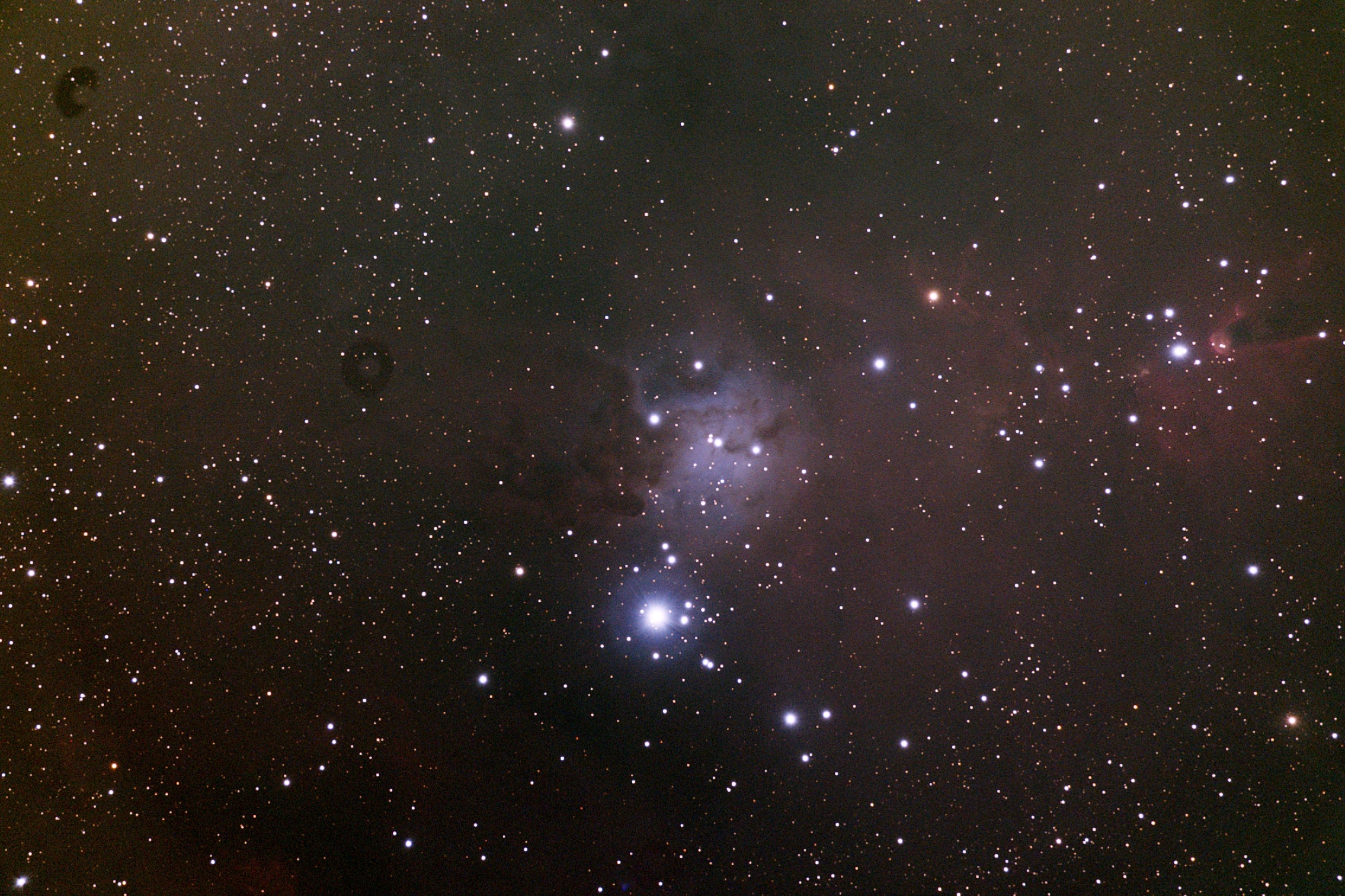 NGC2264.jpg