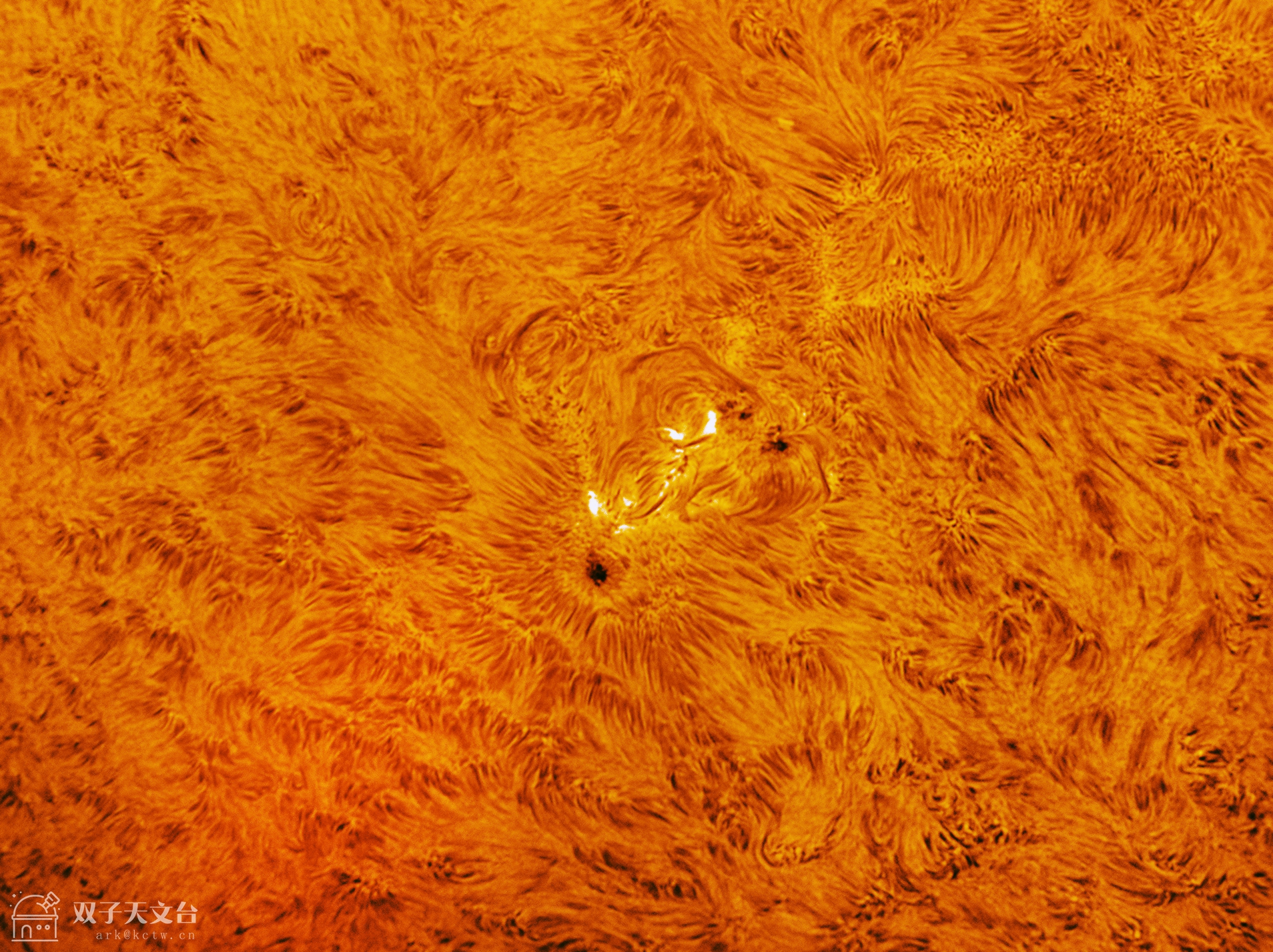 2024-03-02-0239_5-U-L-Sun_Halpha_lapl4_ap998A_副本.jpg