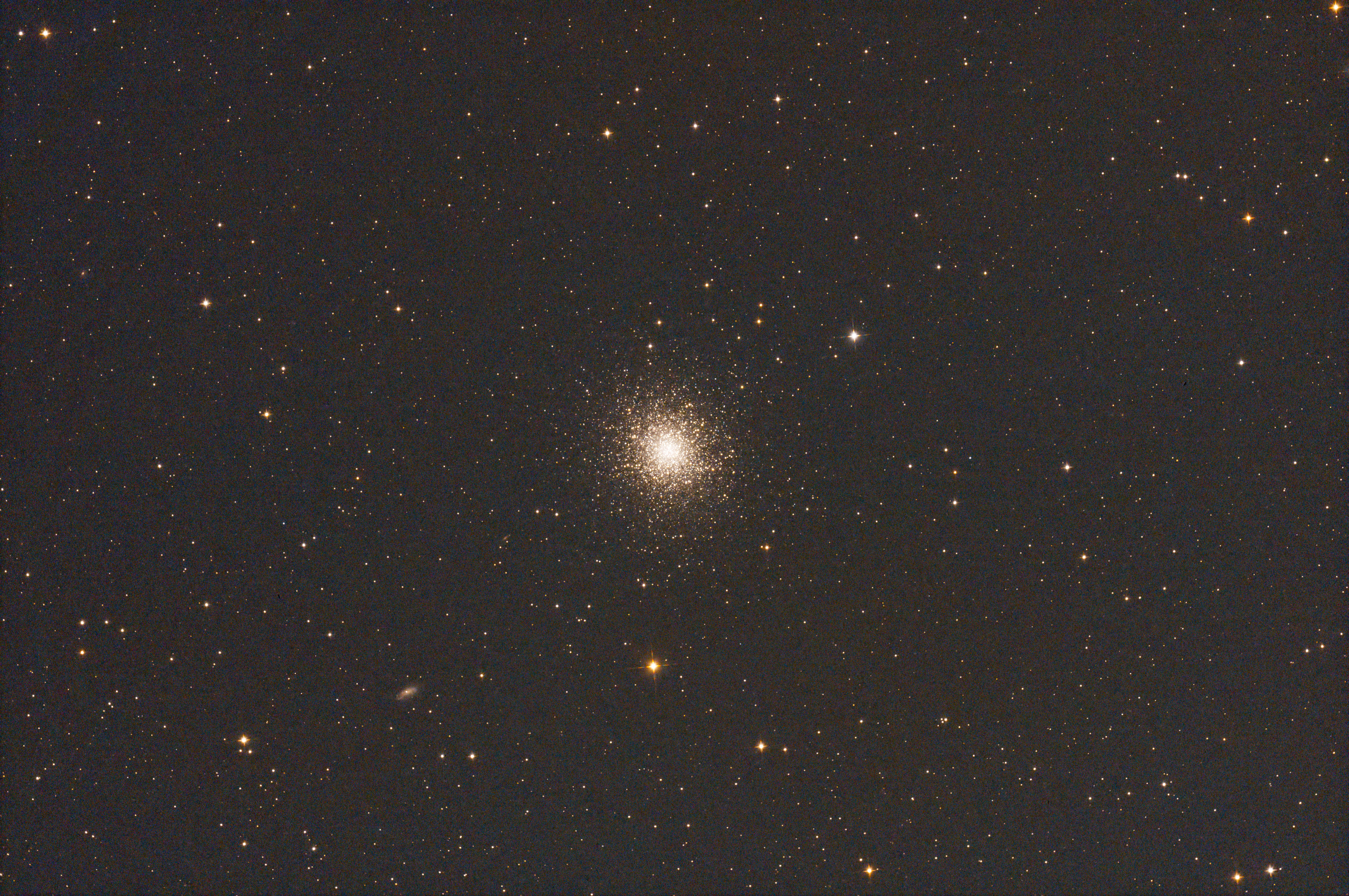 M13-2.jpg