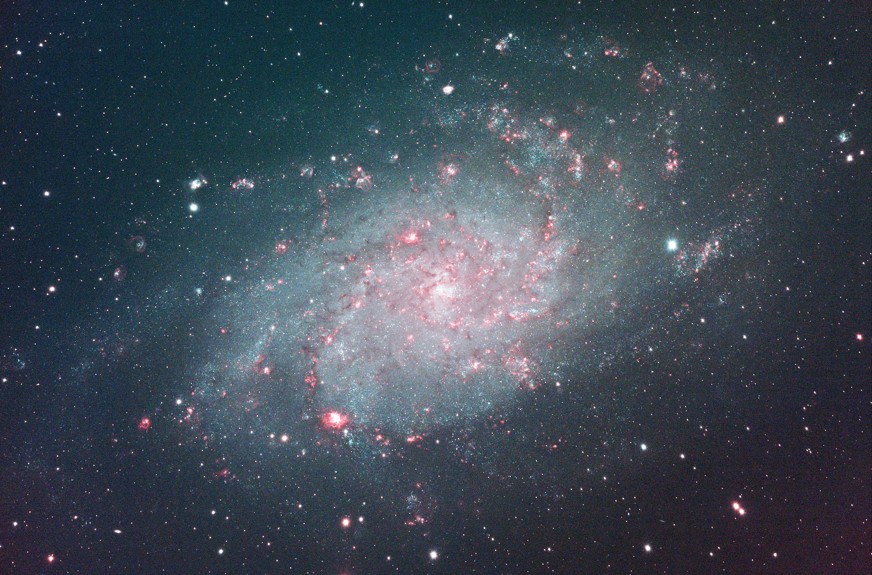 M338.jpg