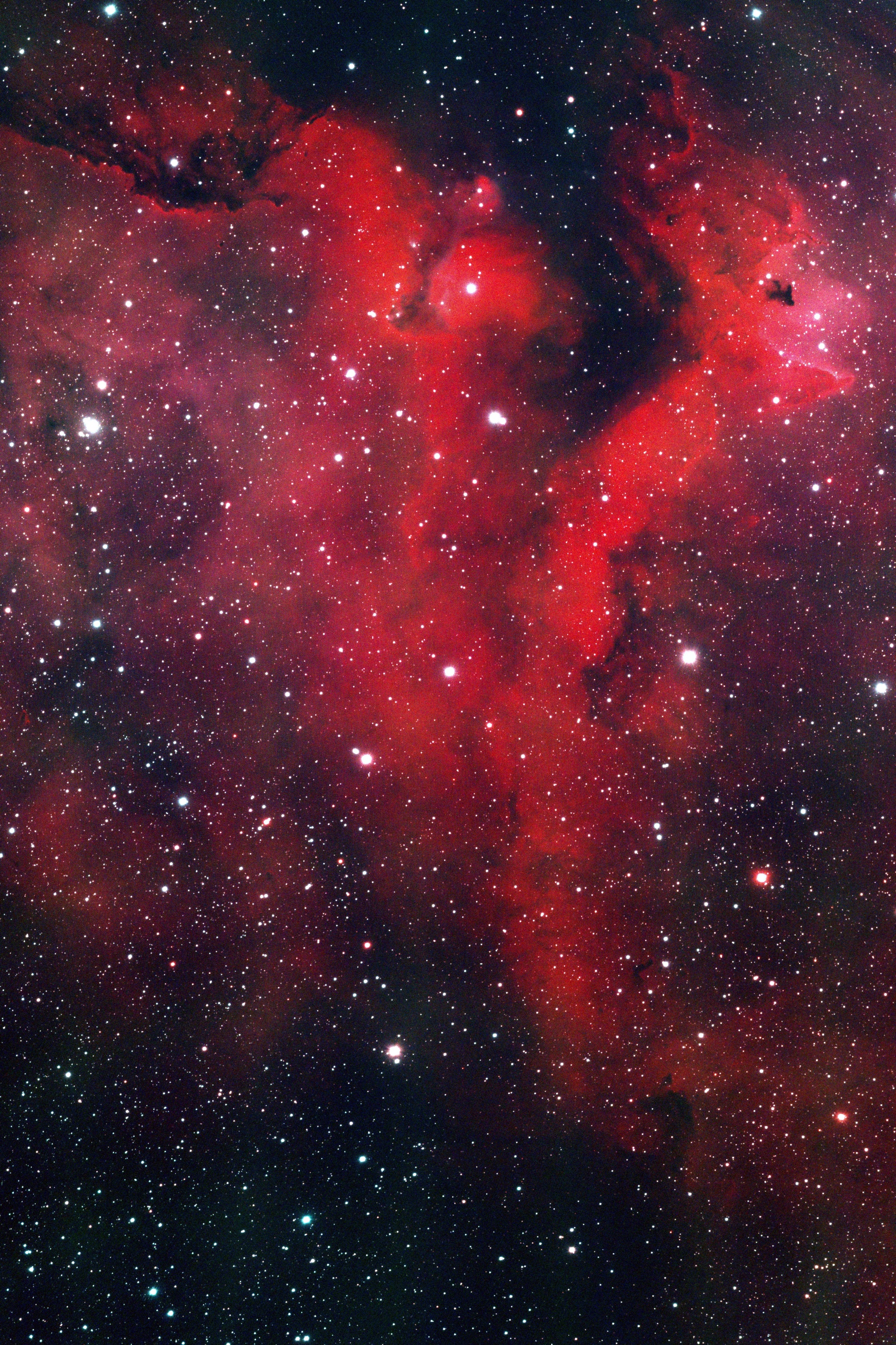 IC1848(270)1.jpg