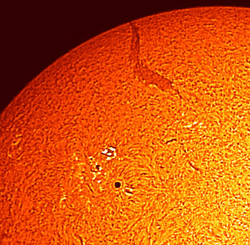 2025-05-16 AR4087.jpg