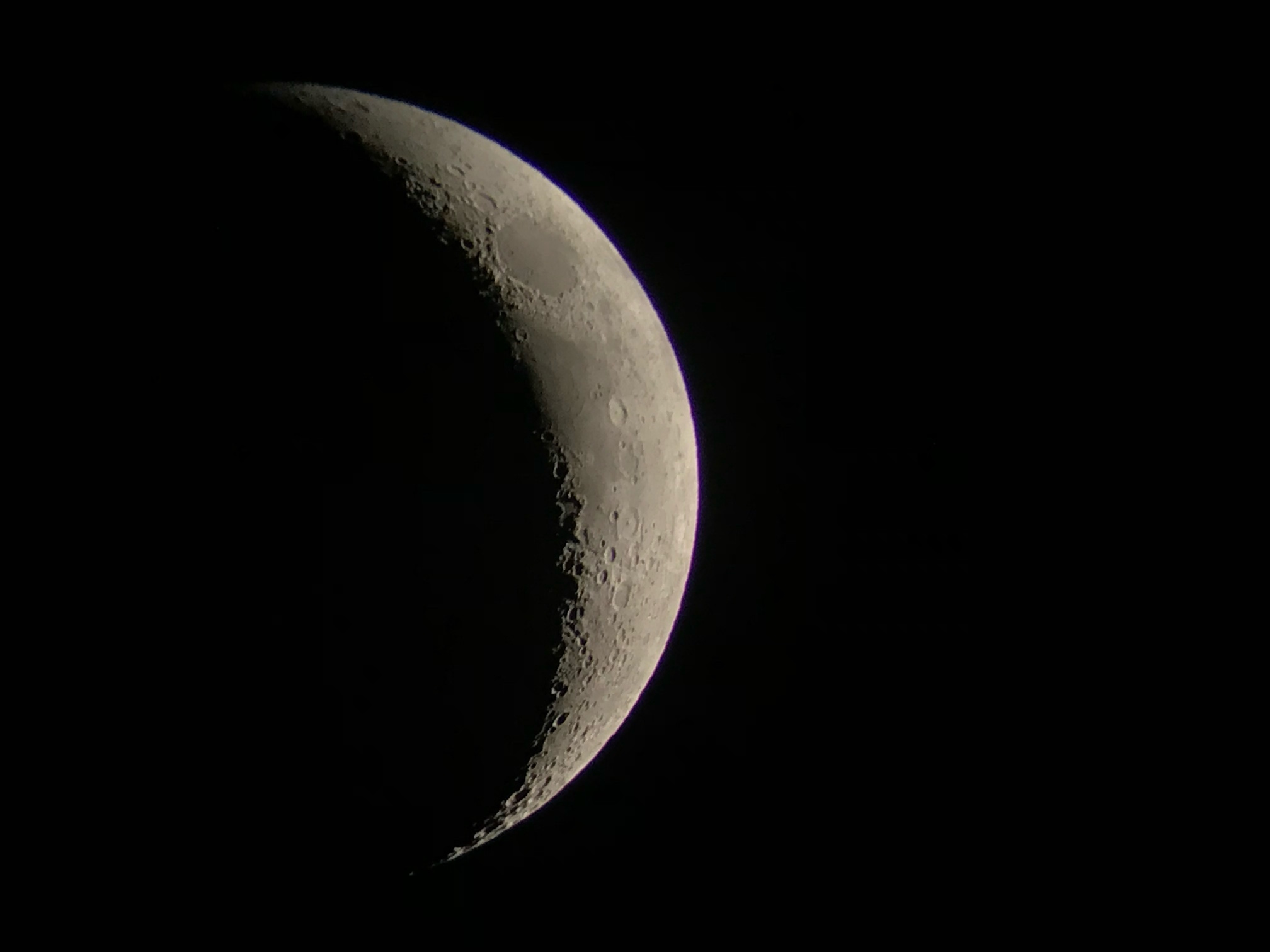 1751621145026408433.jpg