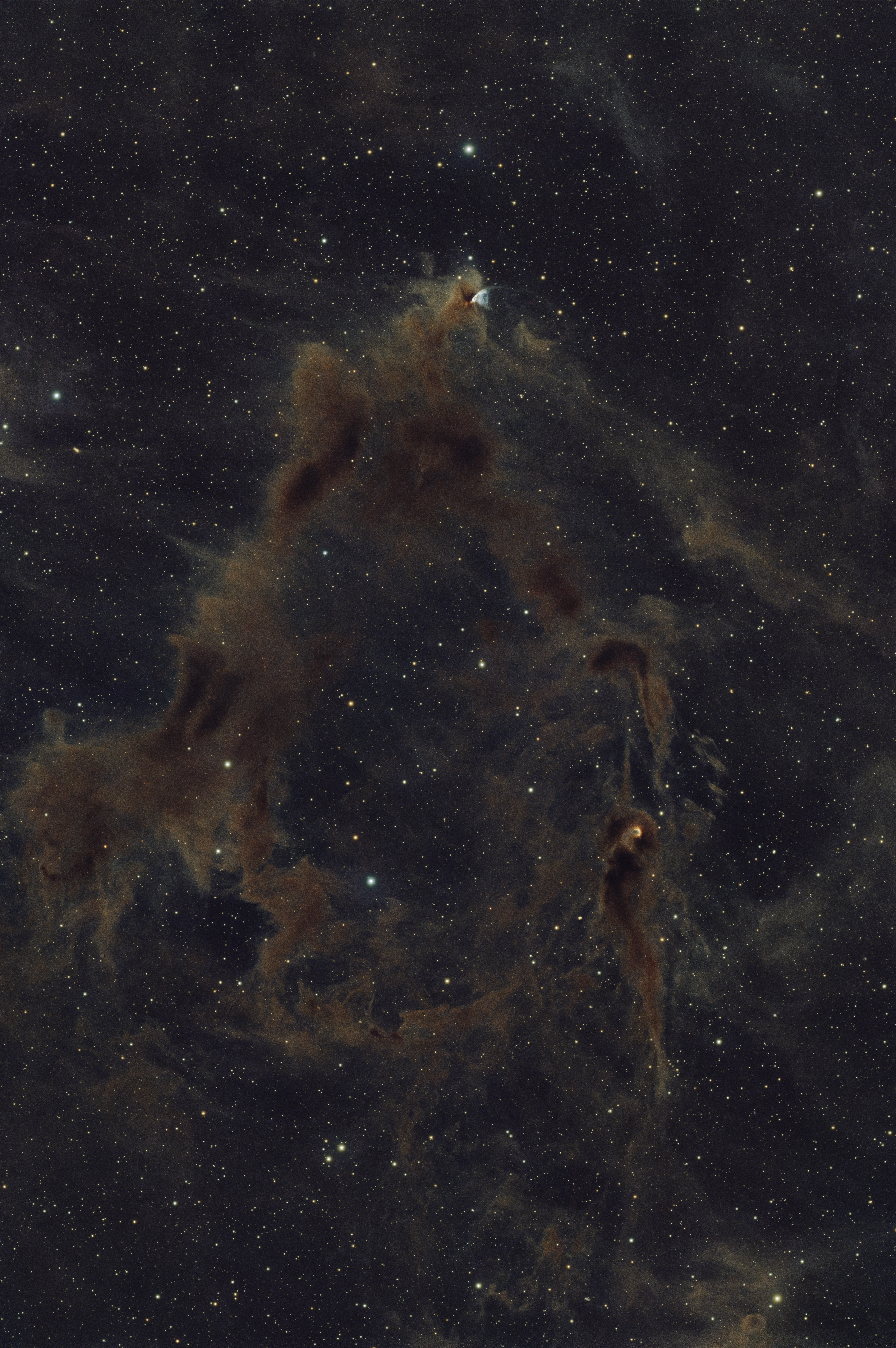 Askar91F_Processed.jpg