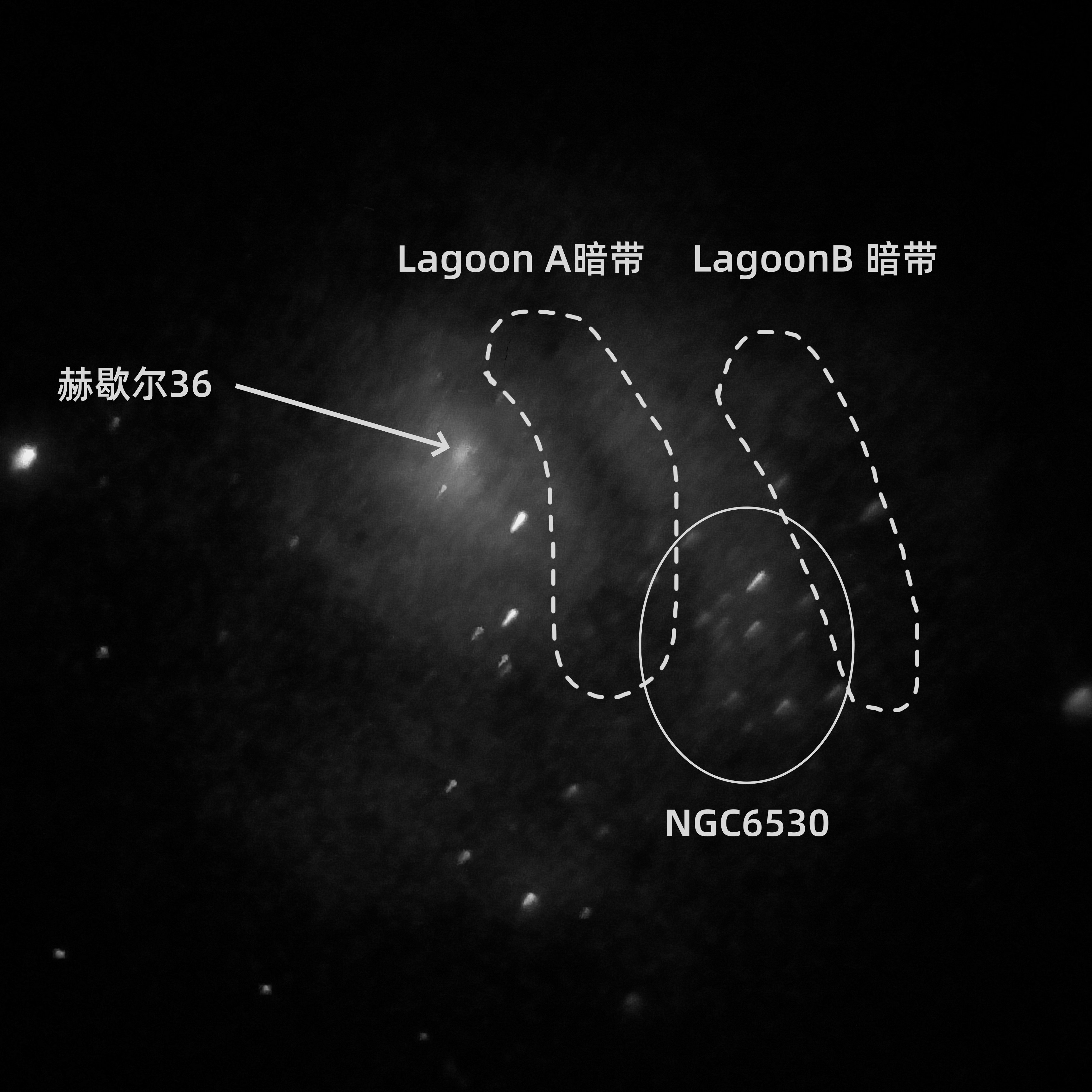 9d7017d9aaa4351d142c13d390a0eb9-1_副本.jpg