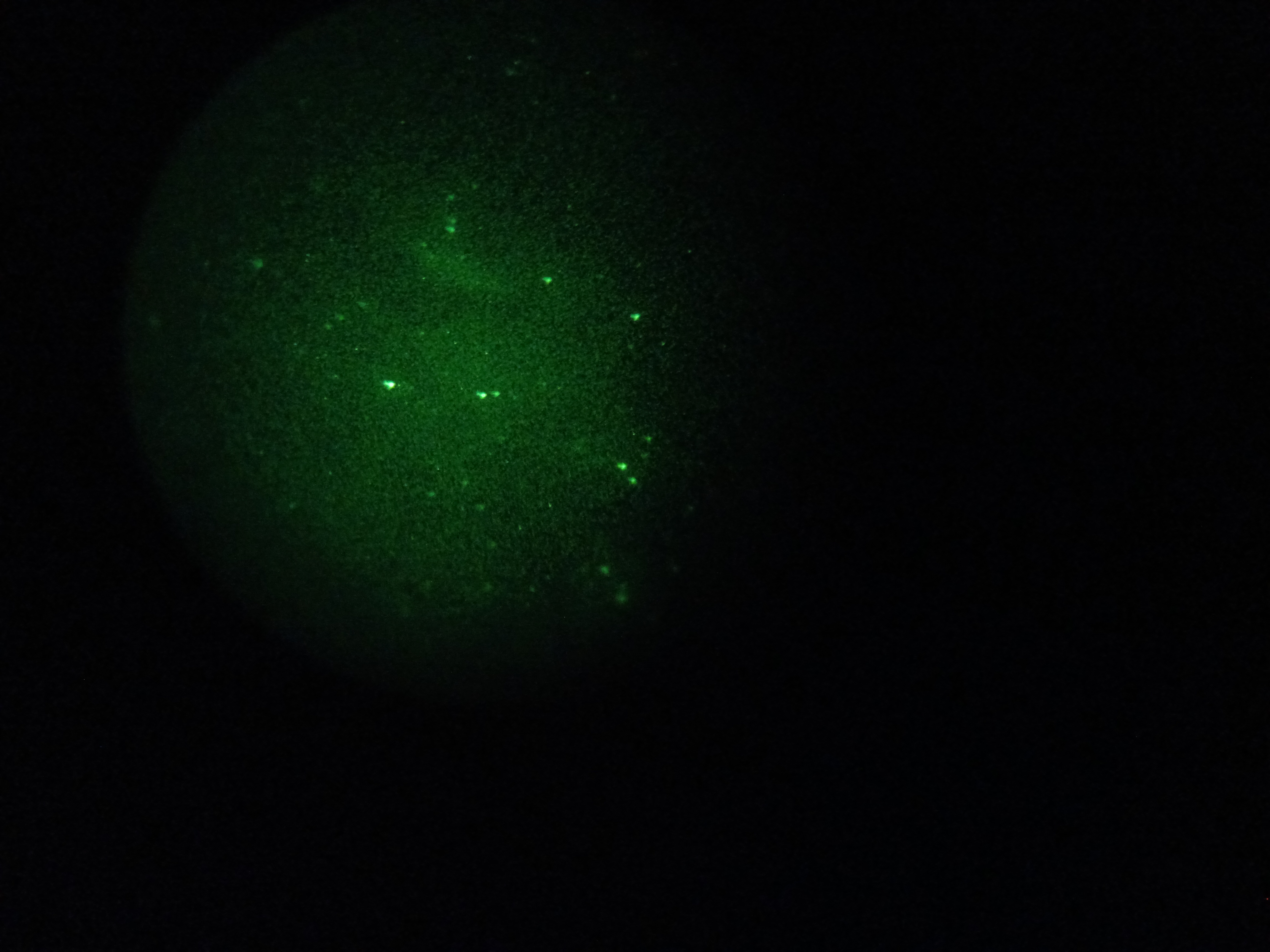 d71817d21fe58035656771e0f4d82f0.jpg
