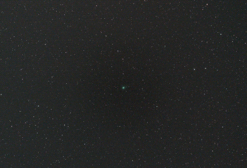 1.gif