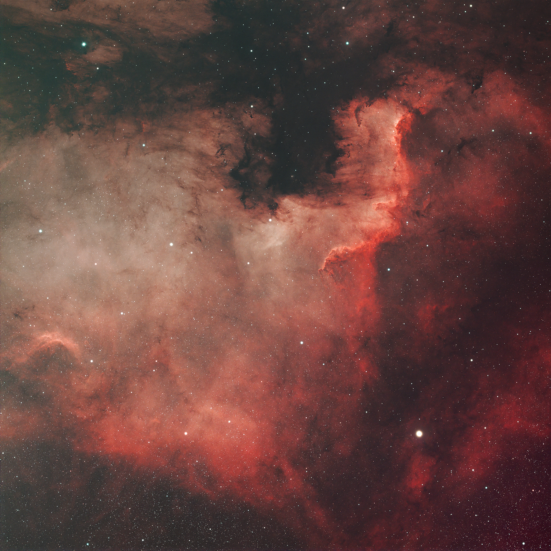 小天鹅座·北美洲星云 (NGC7000) 与星际尘埃带 (L935).jpg