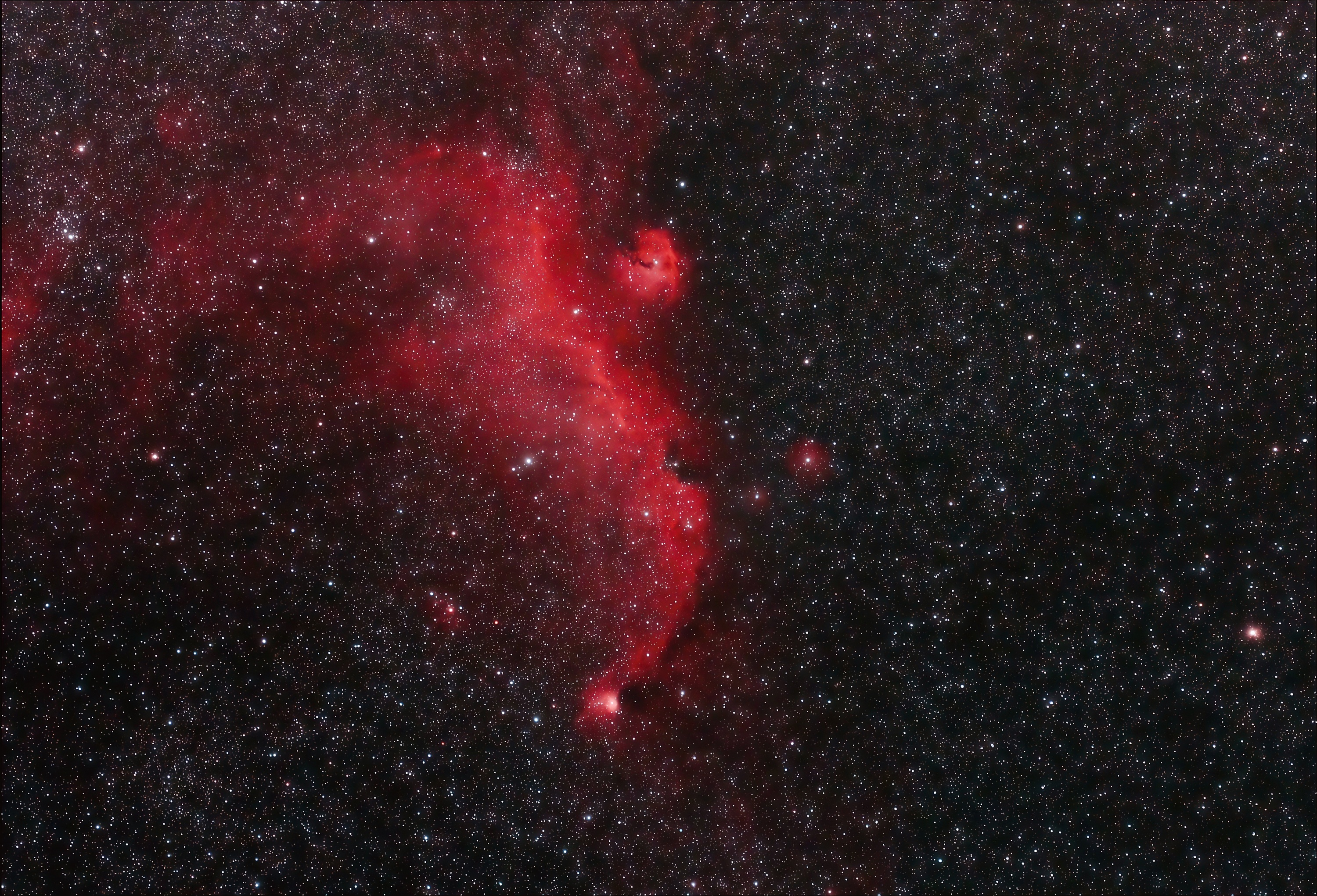 NGC2327(294)海鸥20.jpg