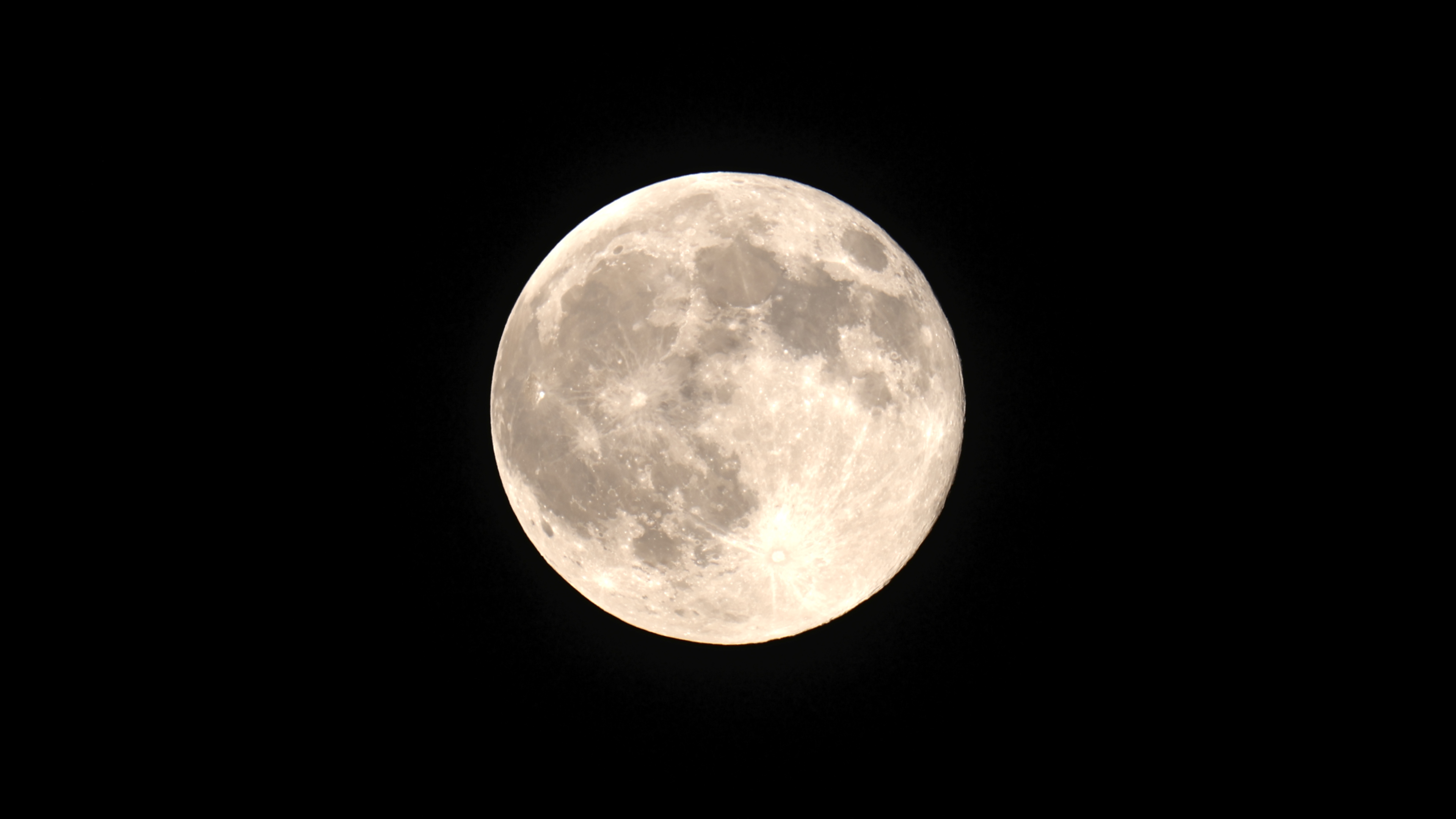 R6II+RF200-800裁切，