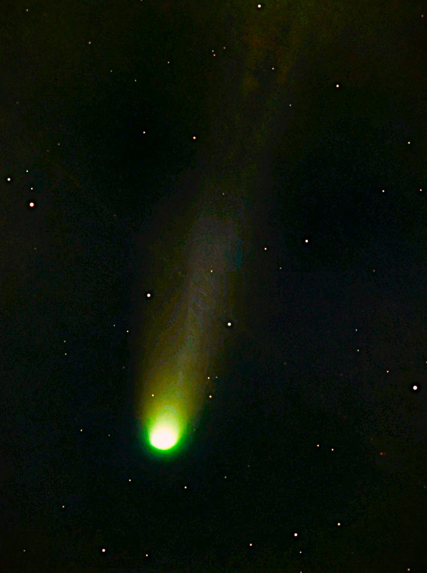 Comet C2025 A6 Lemmon.jpg