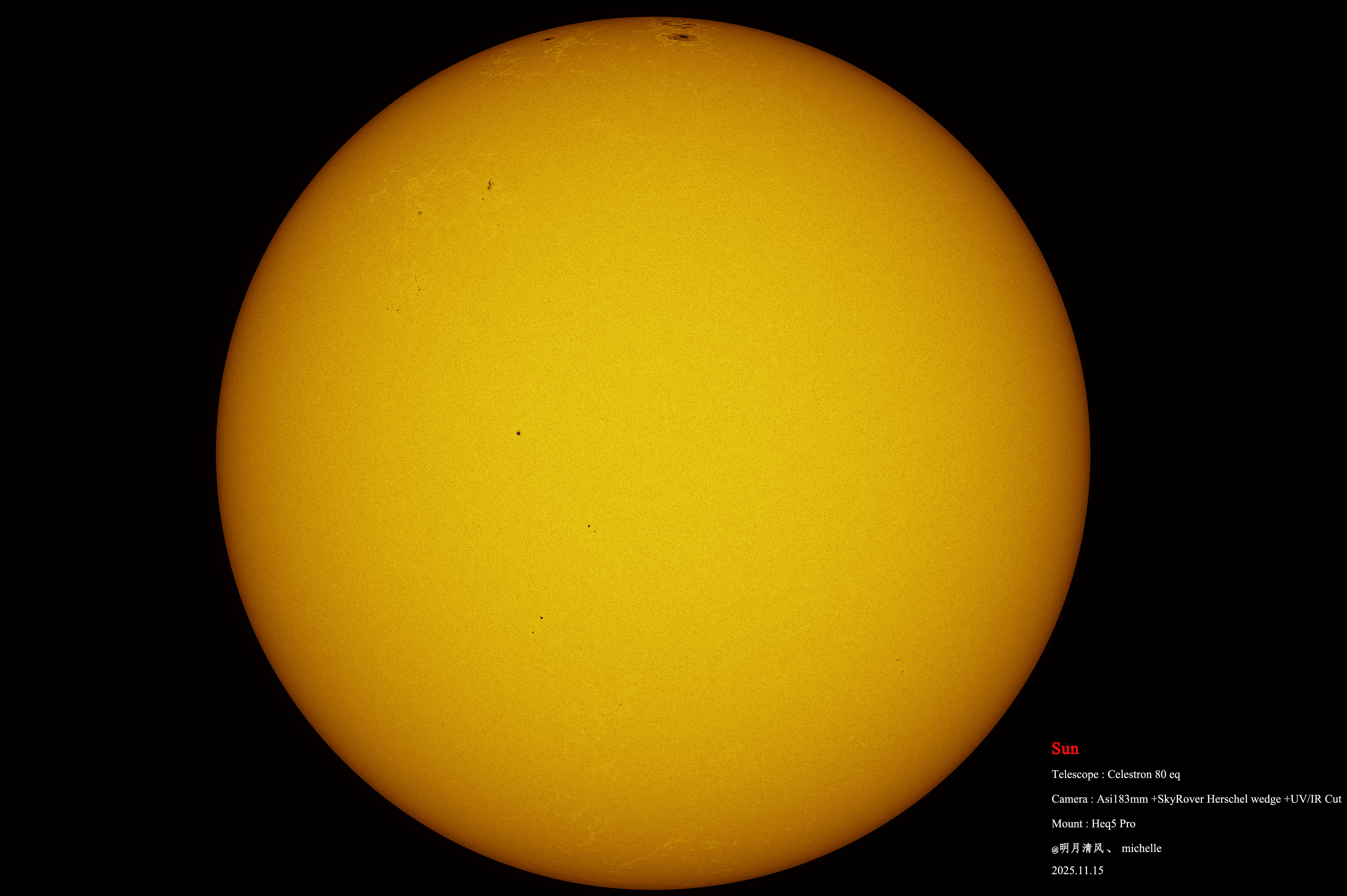 11月15日 imppg水印版.jpg