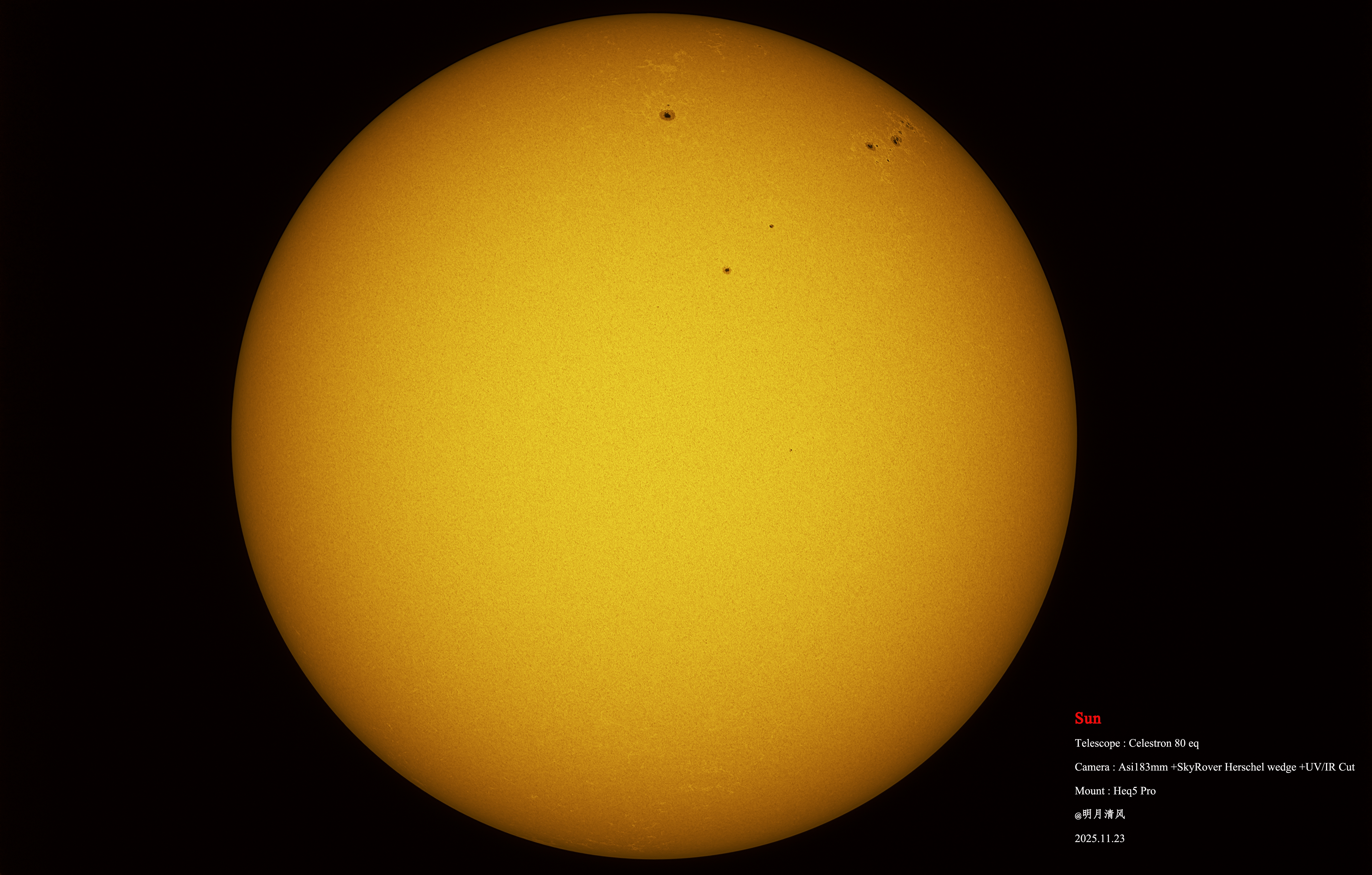 imppg版11月23日 水印版.jpg