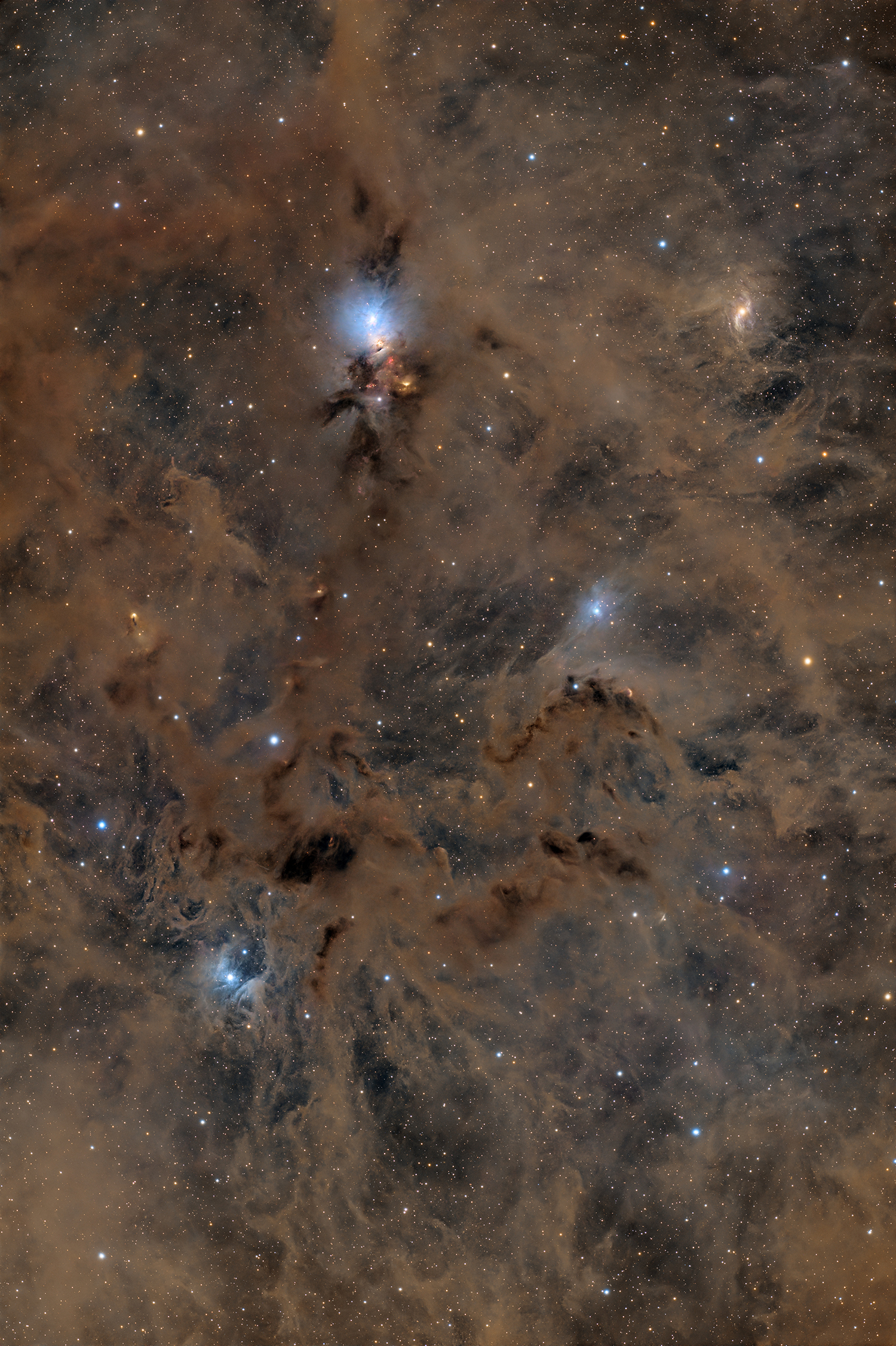 NGC1333小.jpg