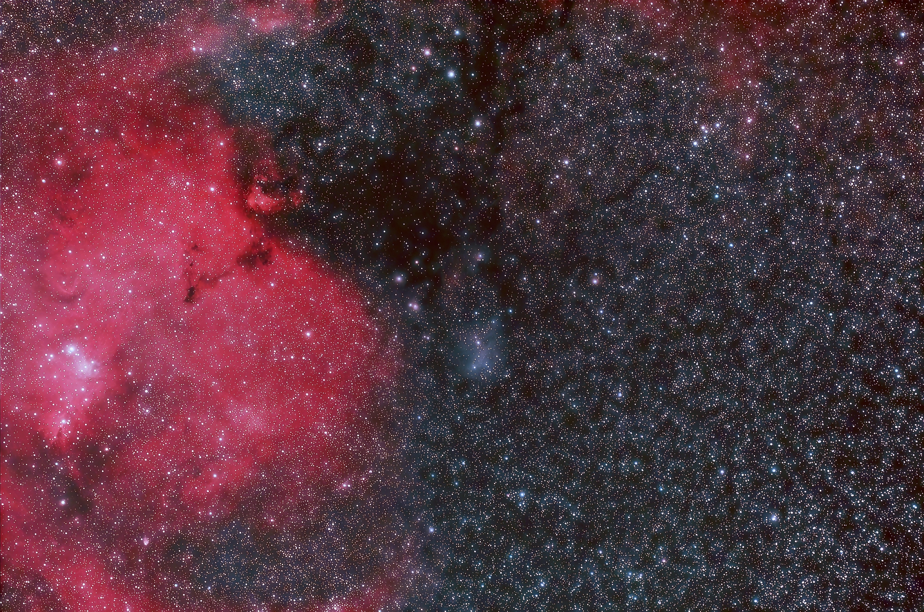 IC2169(294)1.jpg