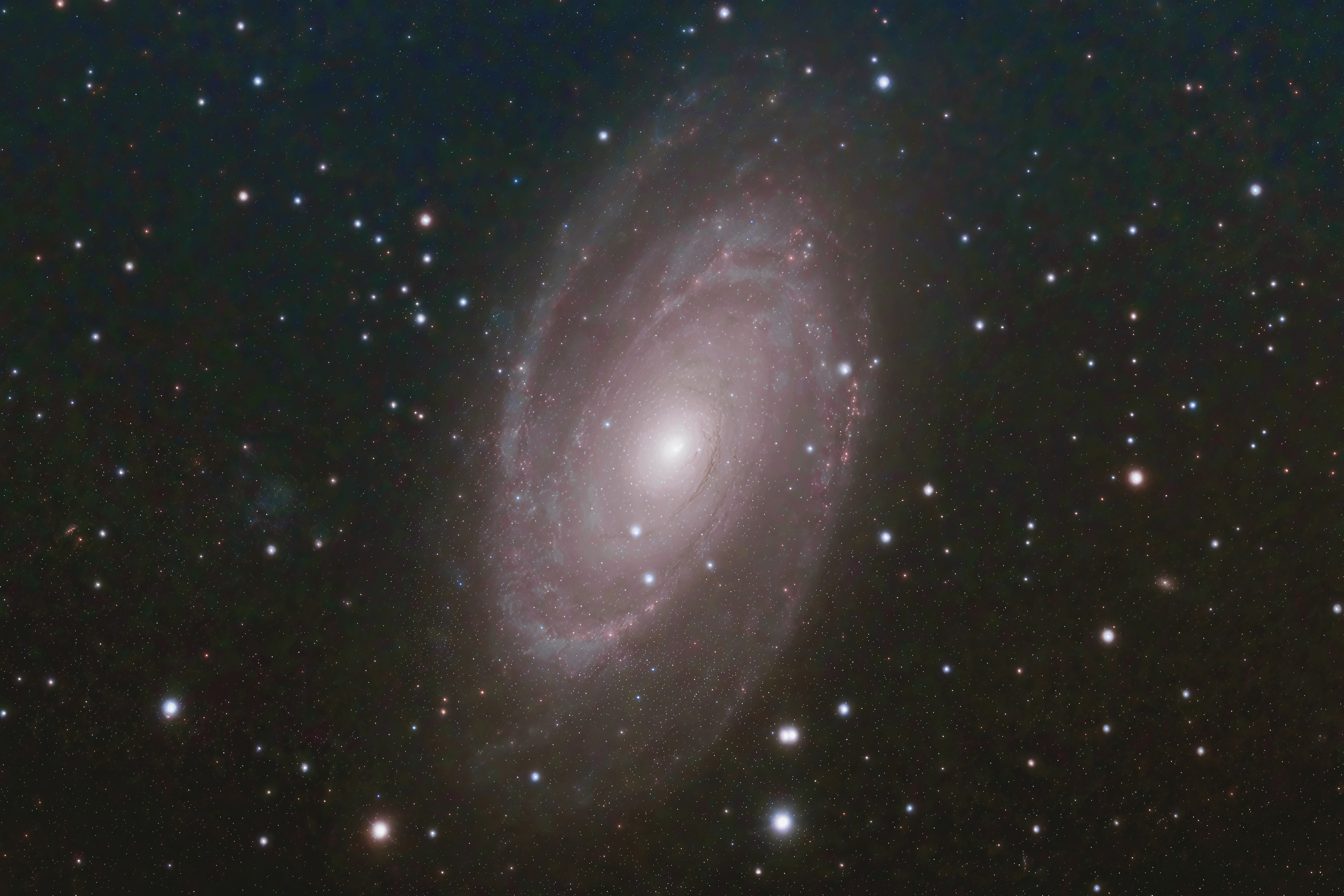 M81(270).jpg