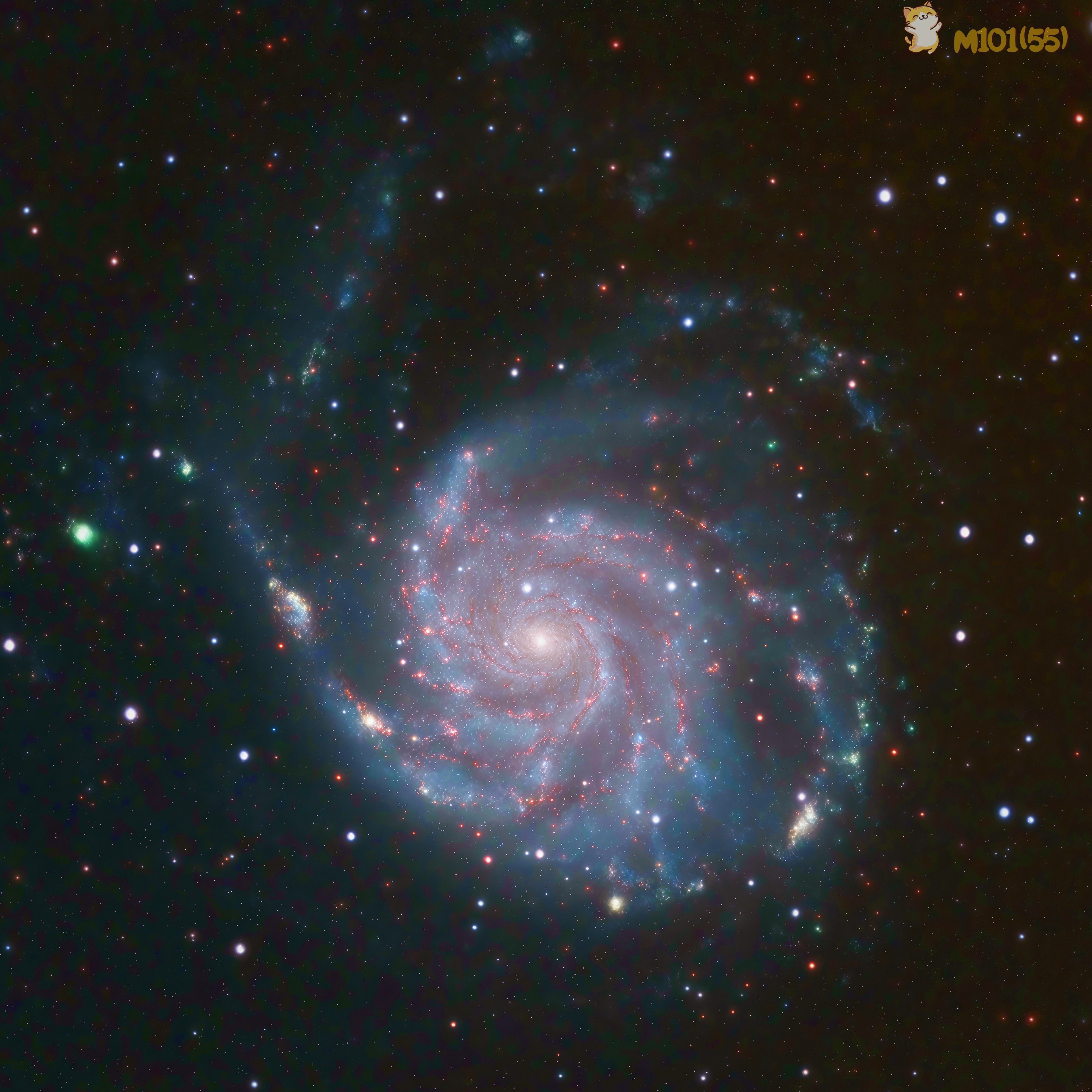M101（0）.jpg