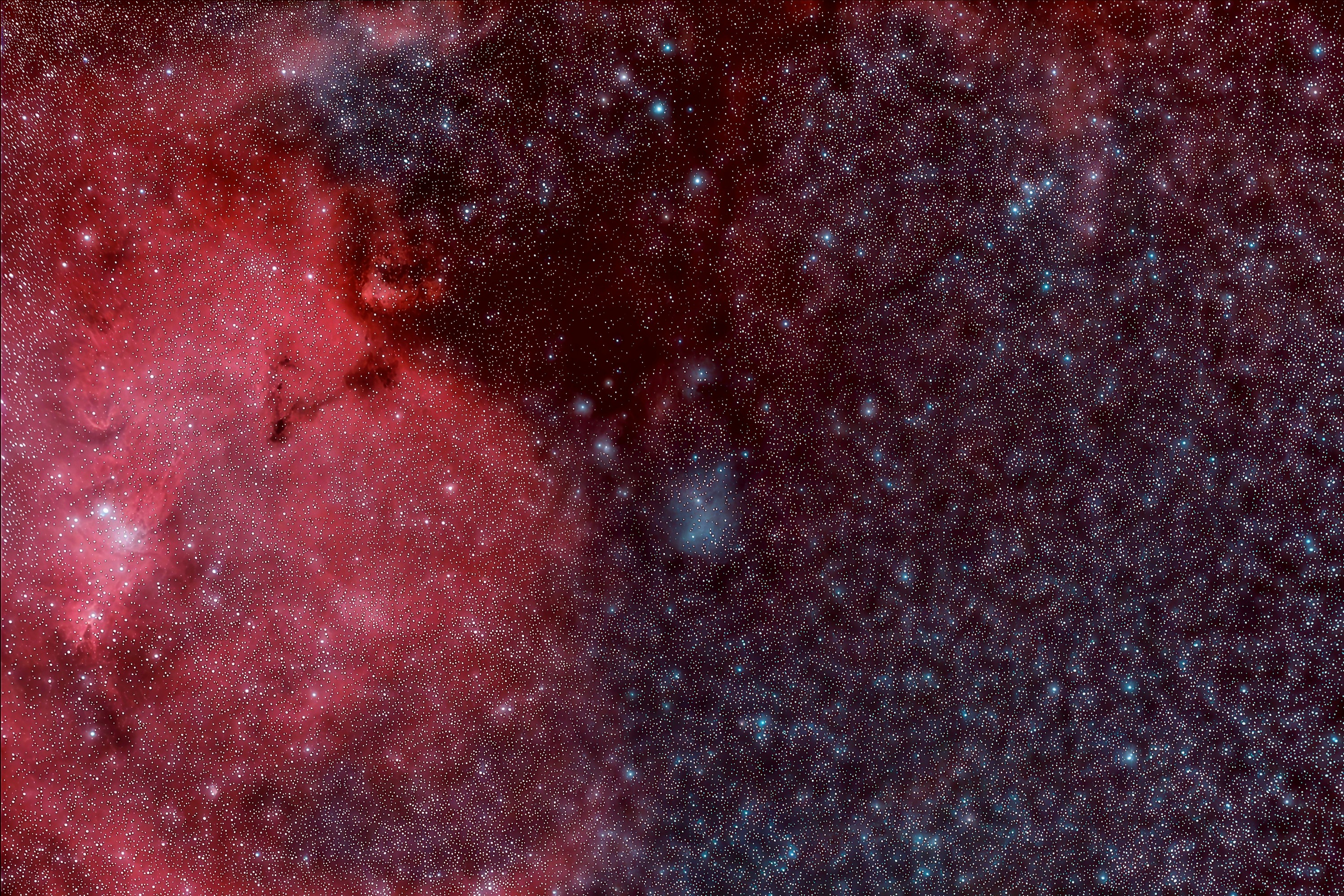IC2169(294)11.jpg