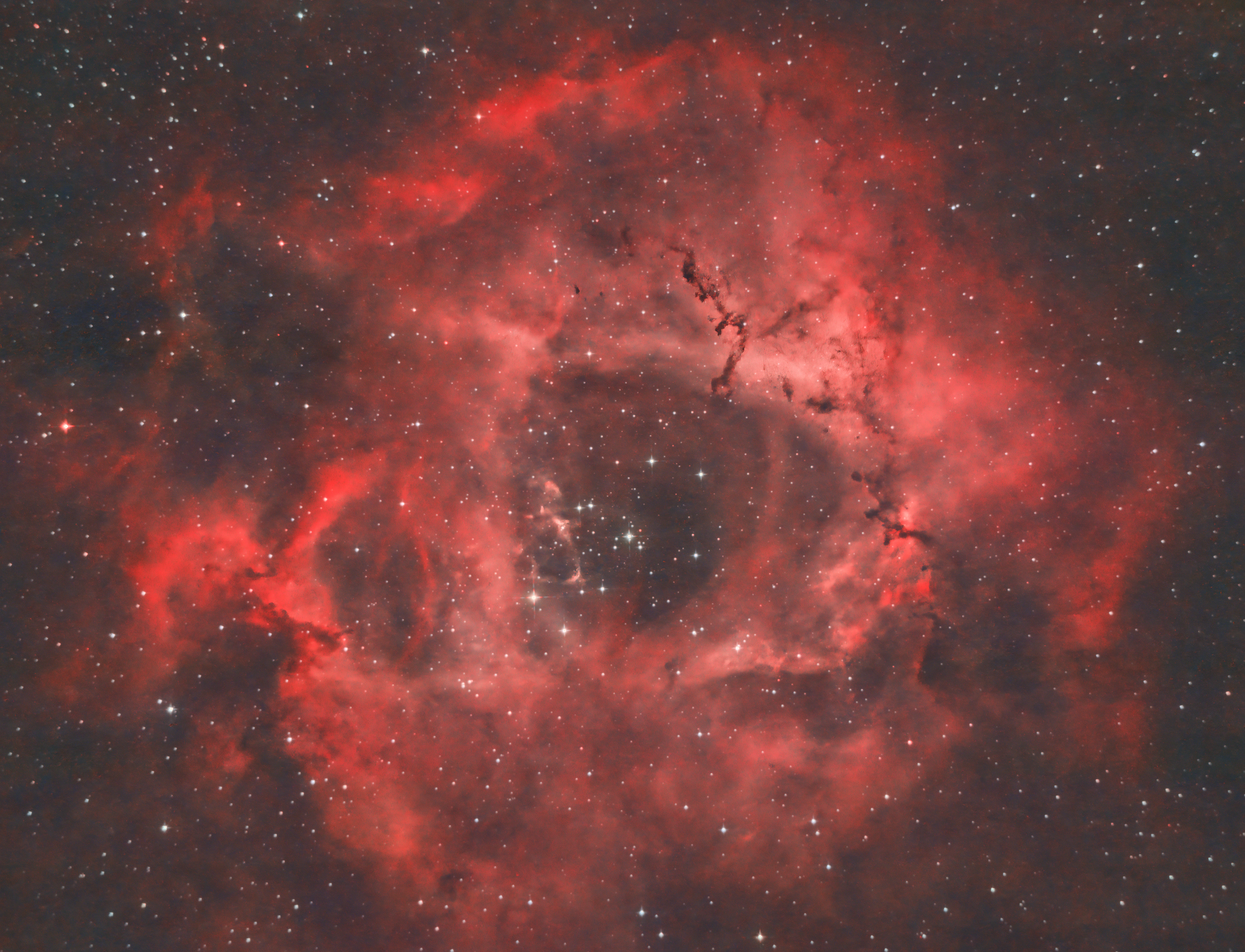 ngc2244_s.jpg
