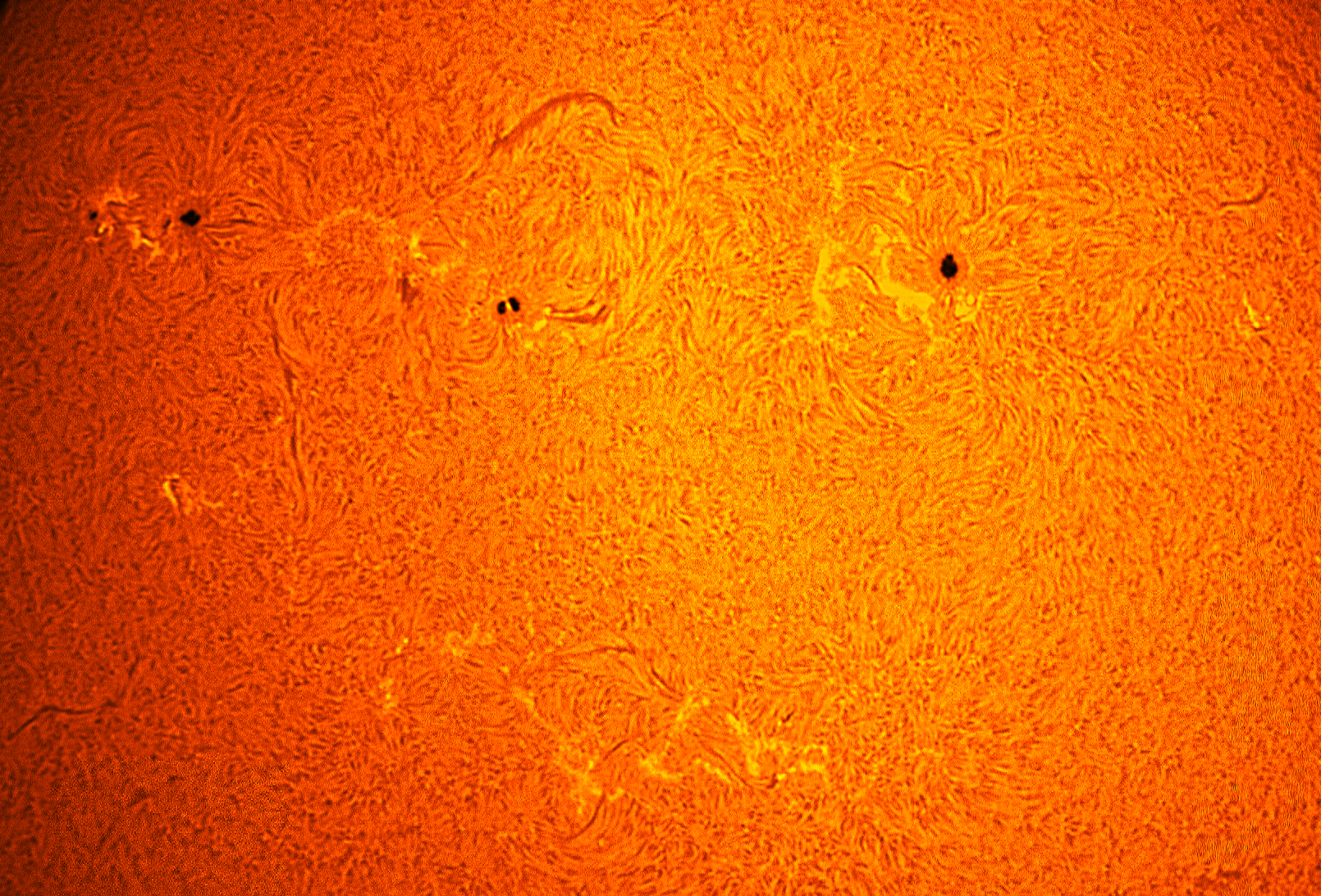 2026-03-04 Sunspot.jpg