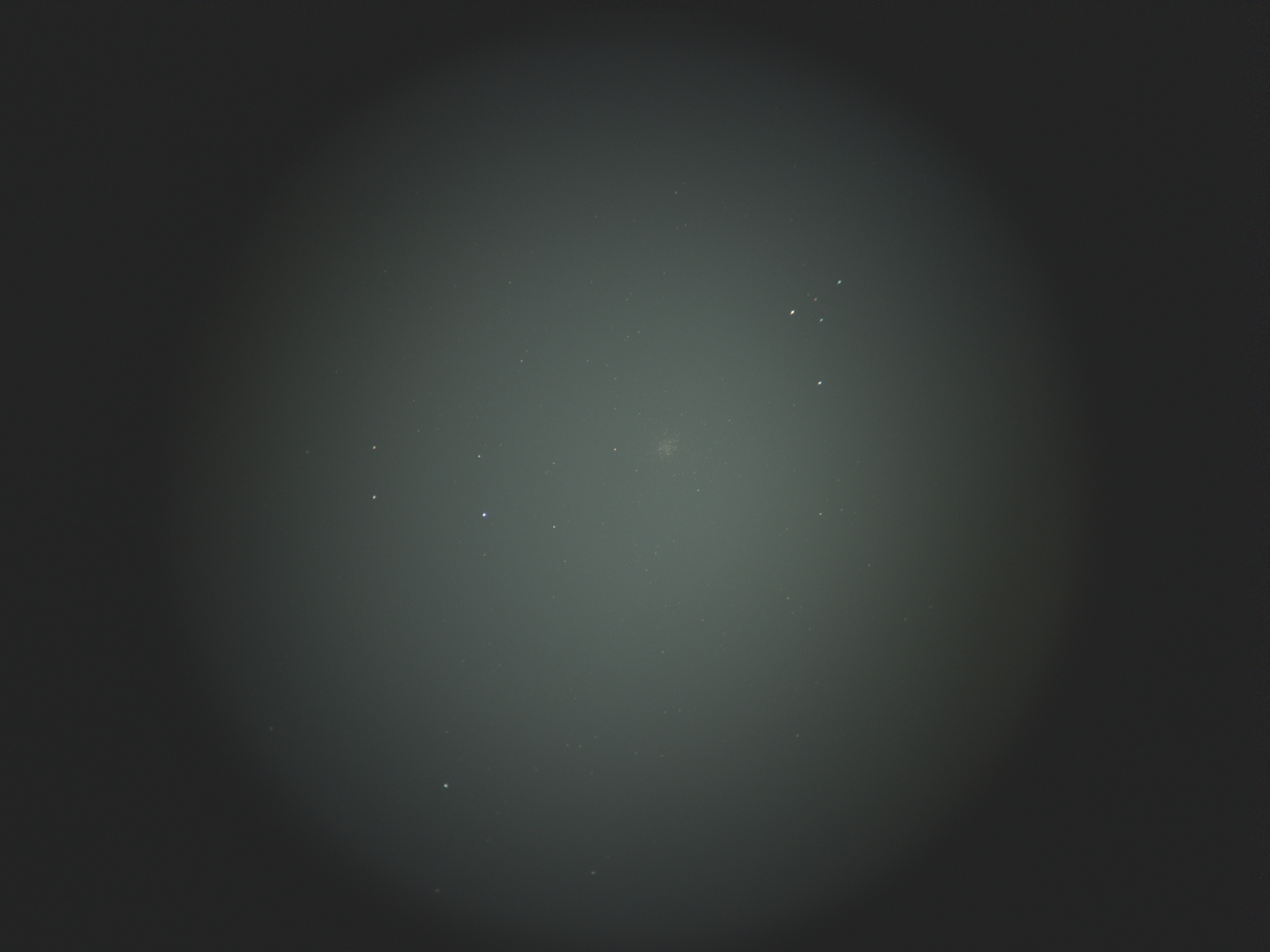 M22，双筒目镜后