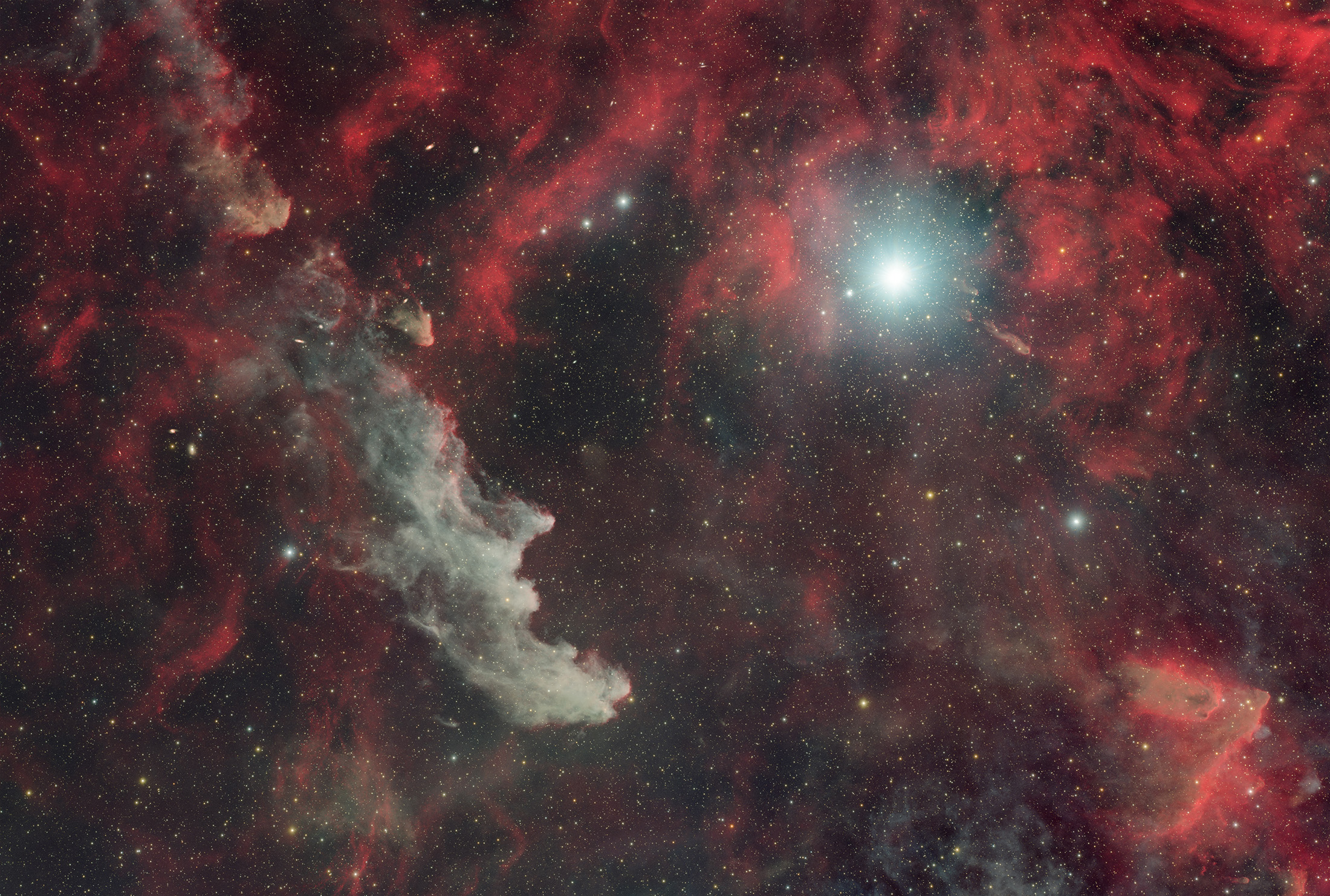 witch_HaOSC_2026-02-11 xiao.jpg