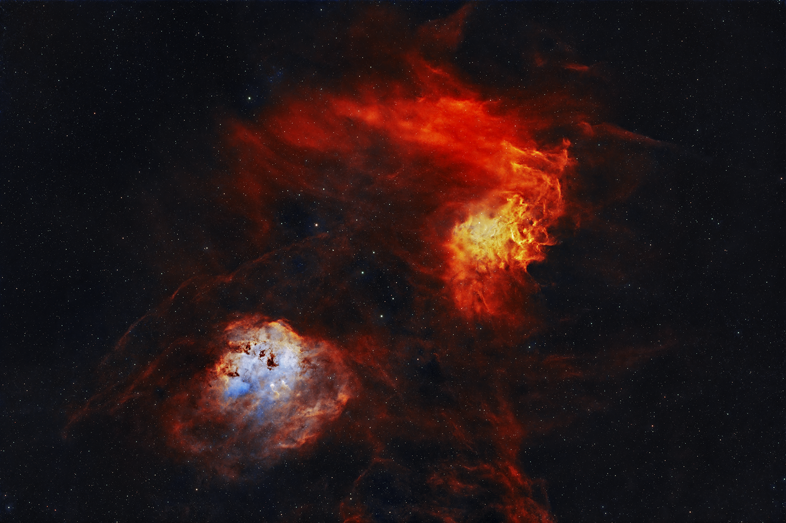 Flaming Star and Tadpoles笑.png