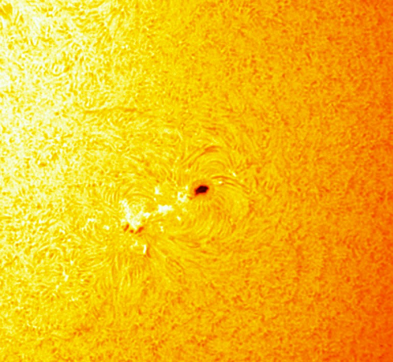 AR 4219 2026-04-19.jpg