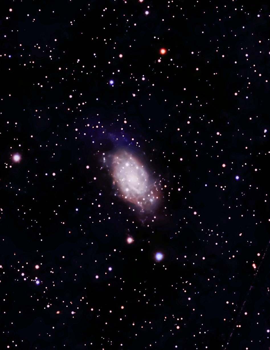 NGC 2403 ( C7 ) 2026-04-23.jpg
