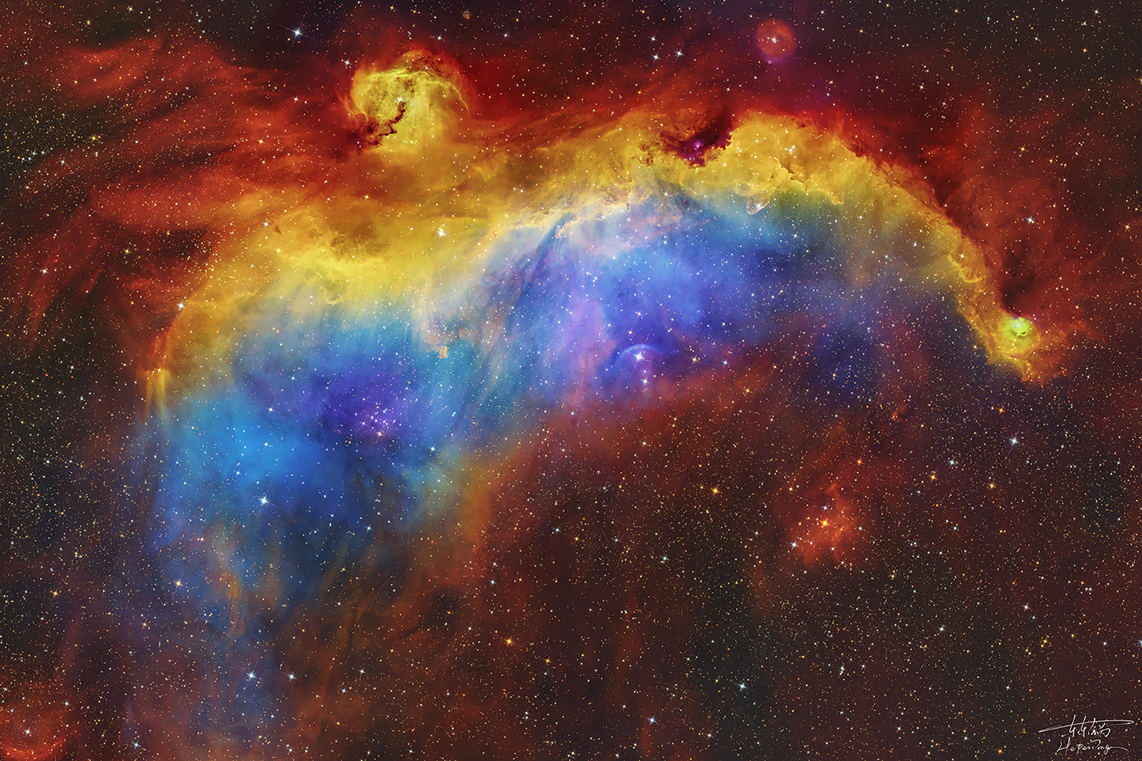 IC2177_海鸥（何修）10.png