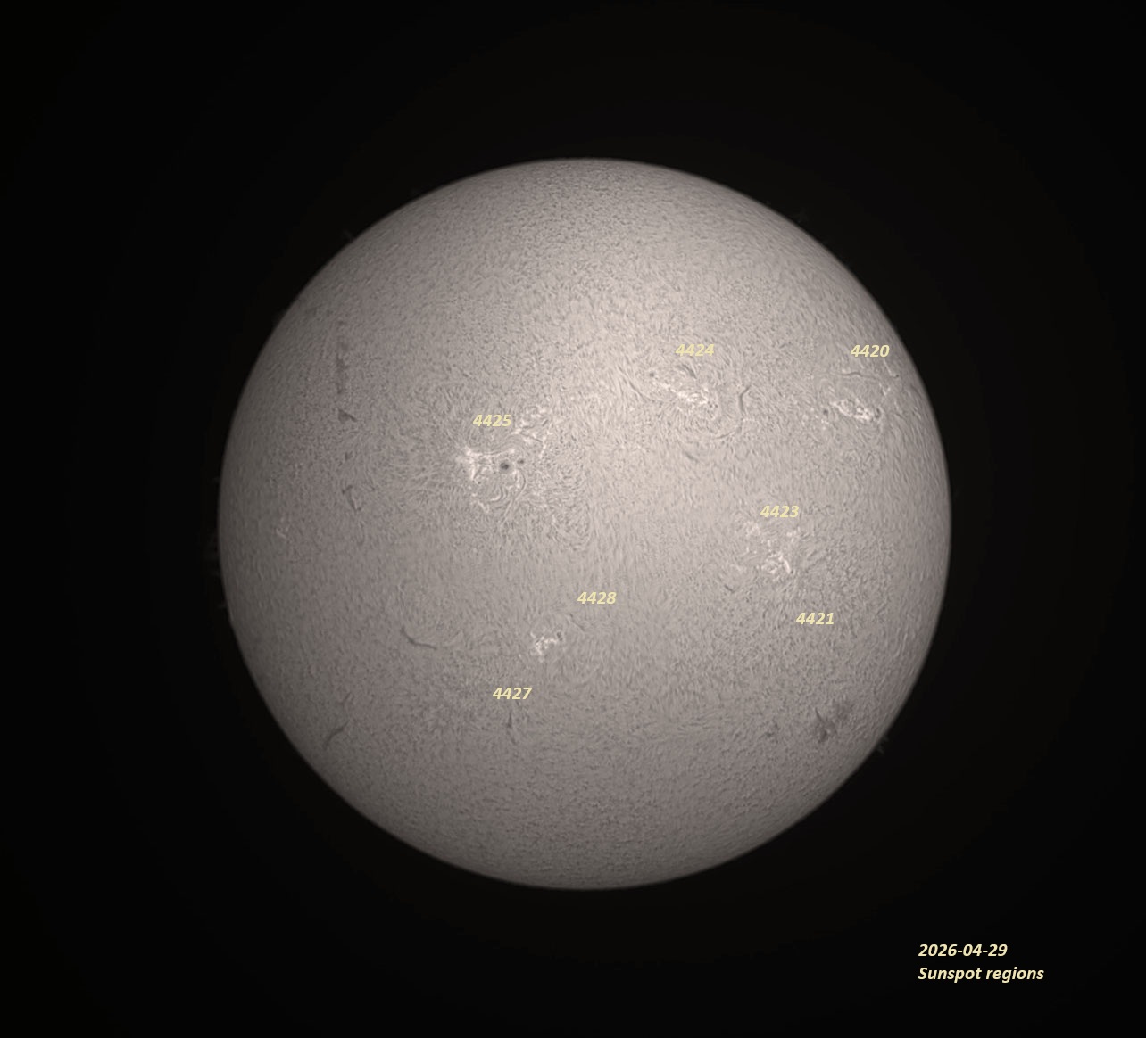 2026-04-29 Sunsopt.jpg