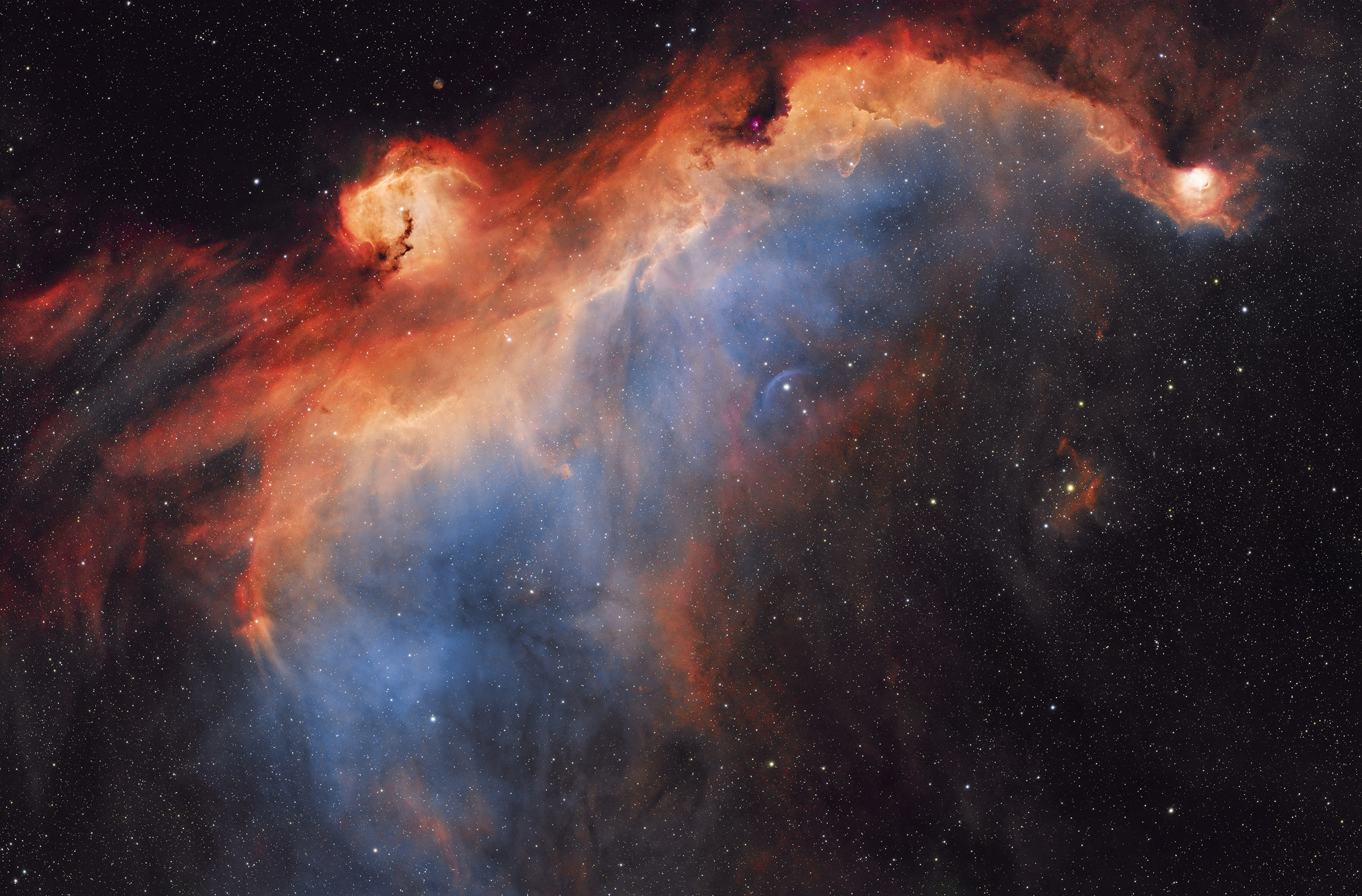 Seagull Nebula in SHO小.jpg