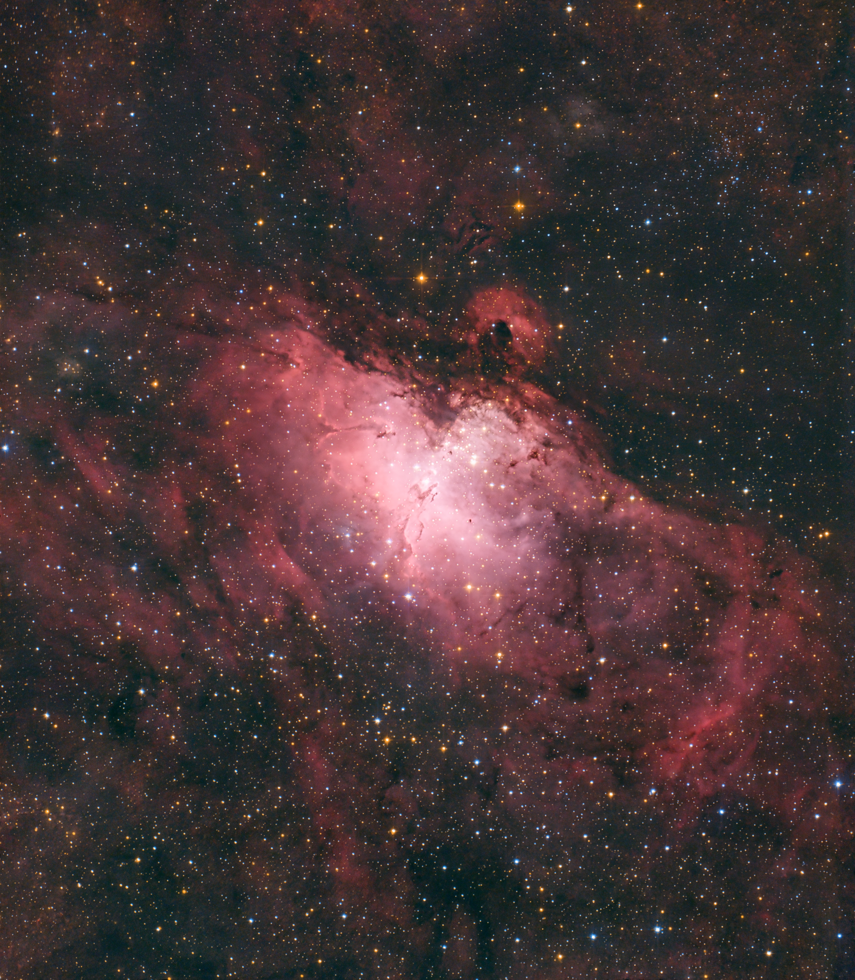 M16.jpg