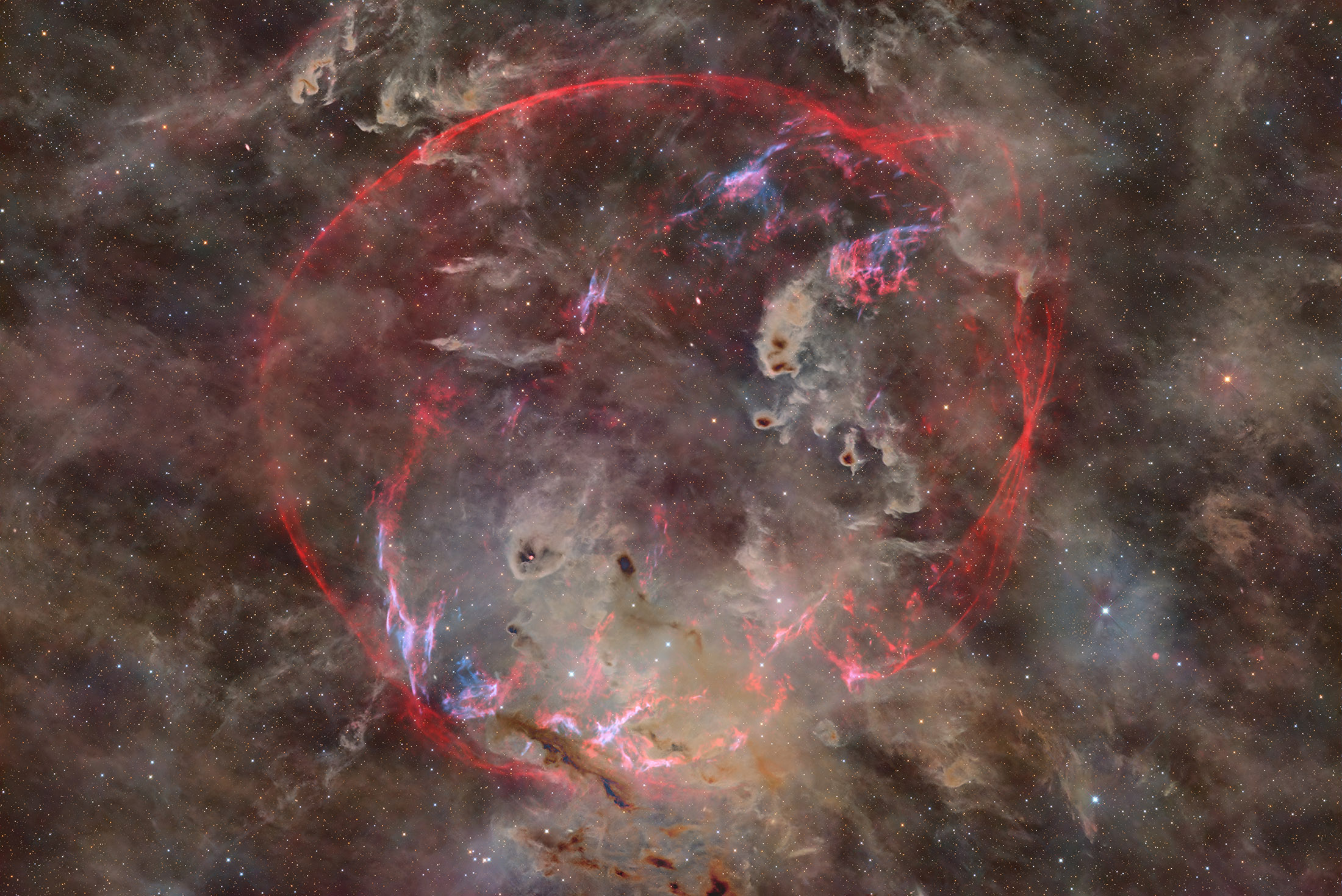 校Stardust Aflame v2.jpg
