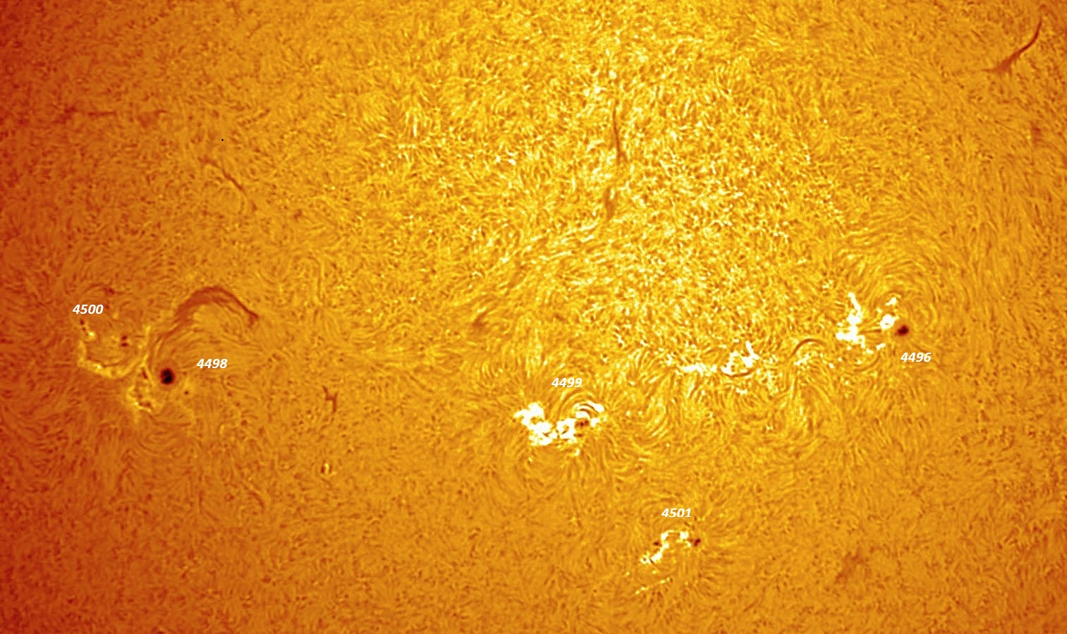 2026-07-31 sunspot close up  w.jpg