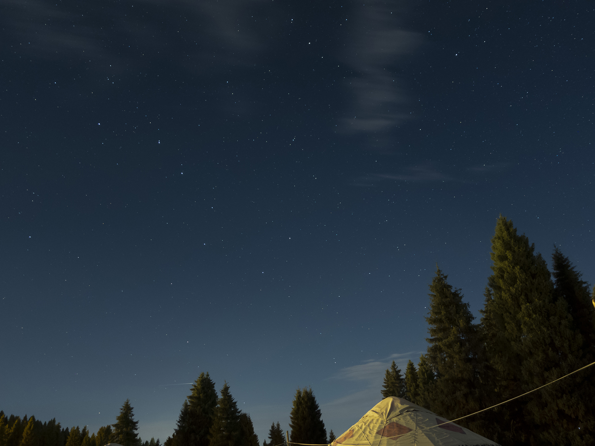 DSC00450R.jpg