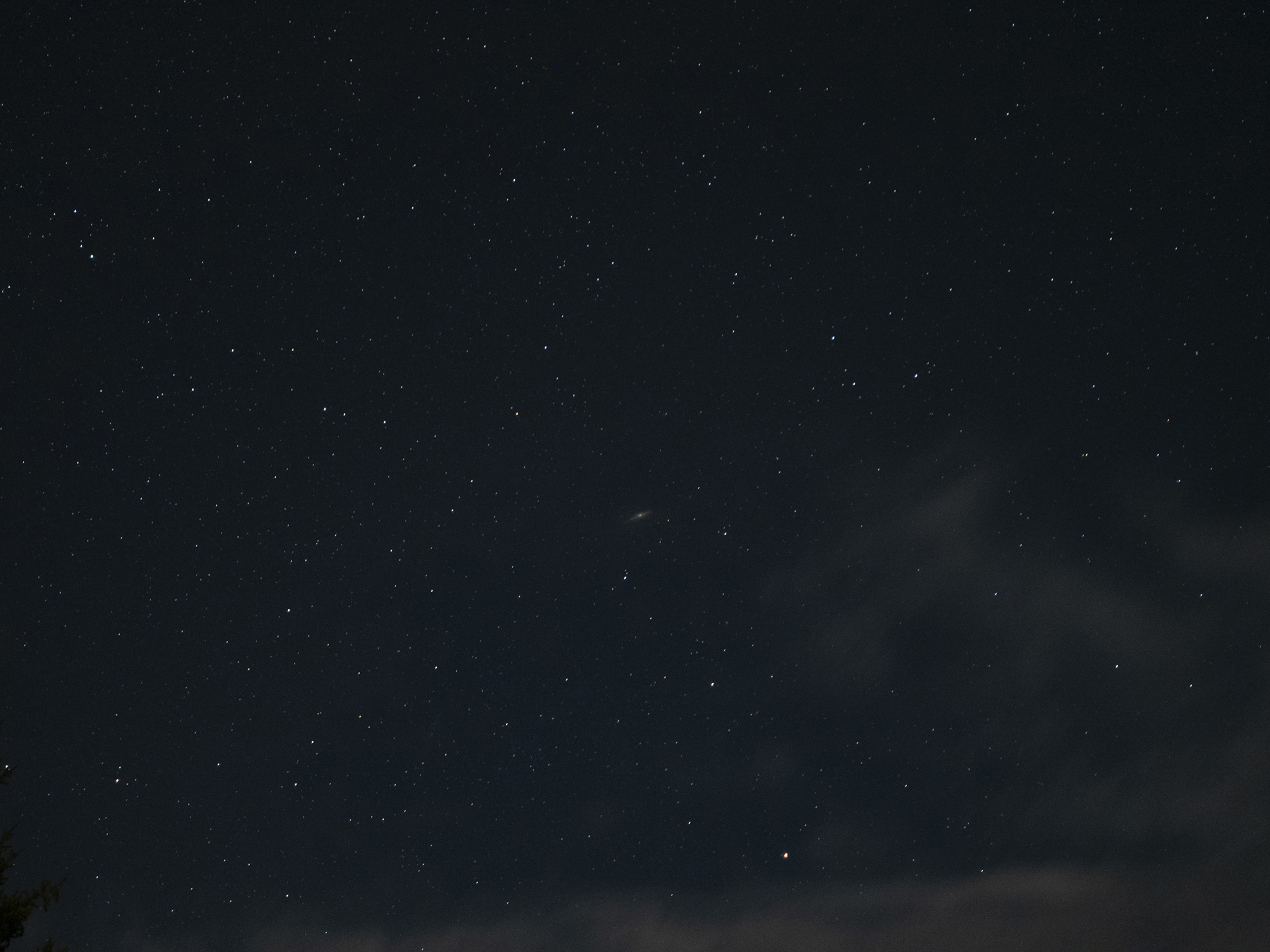 DSC00466R.jpg