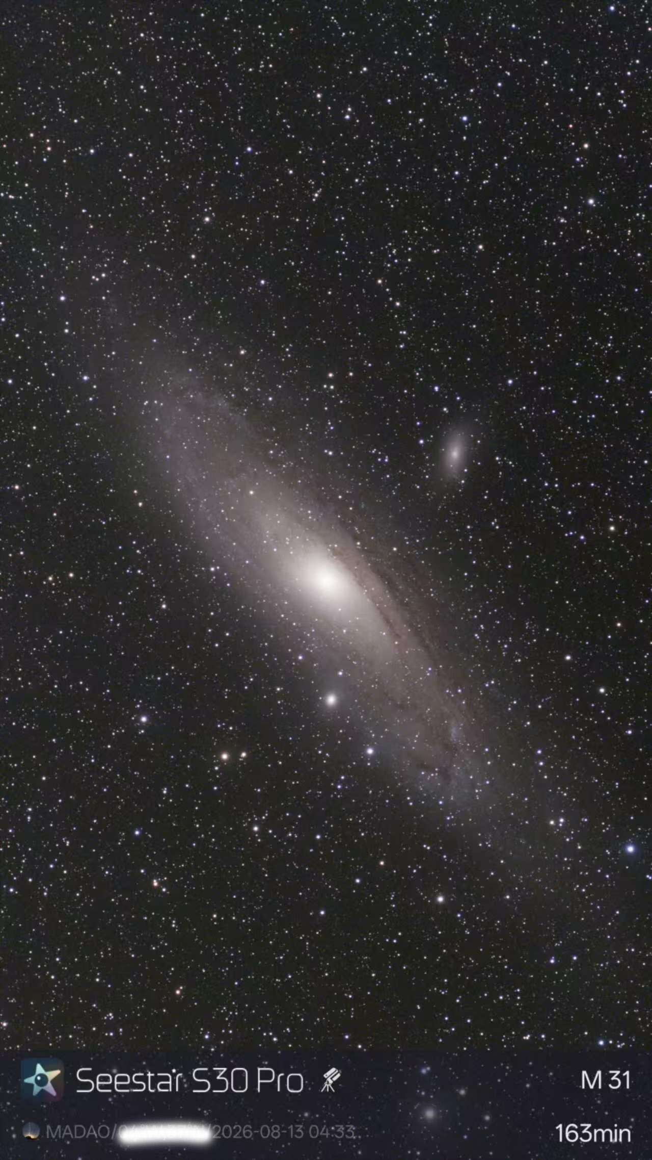 M31seestar.jpg