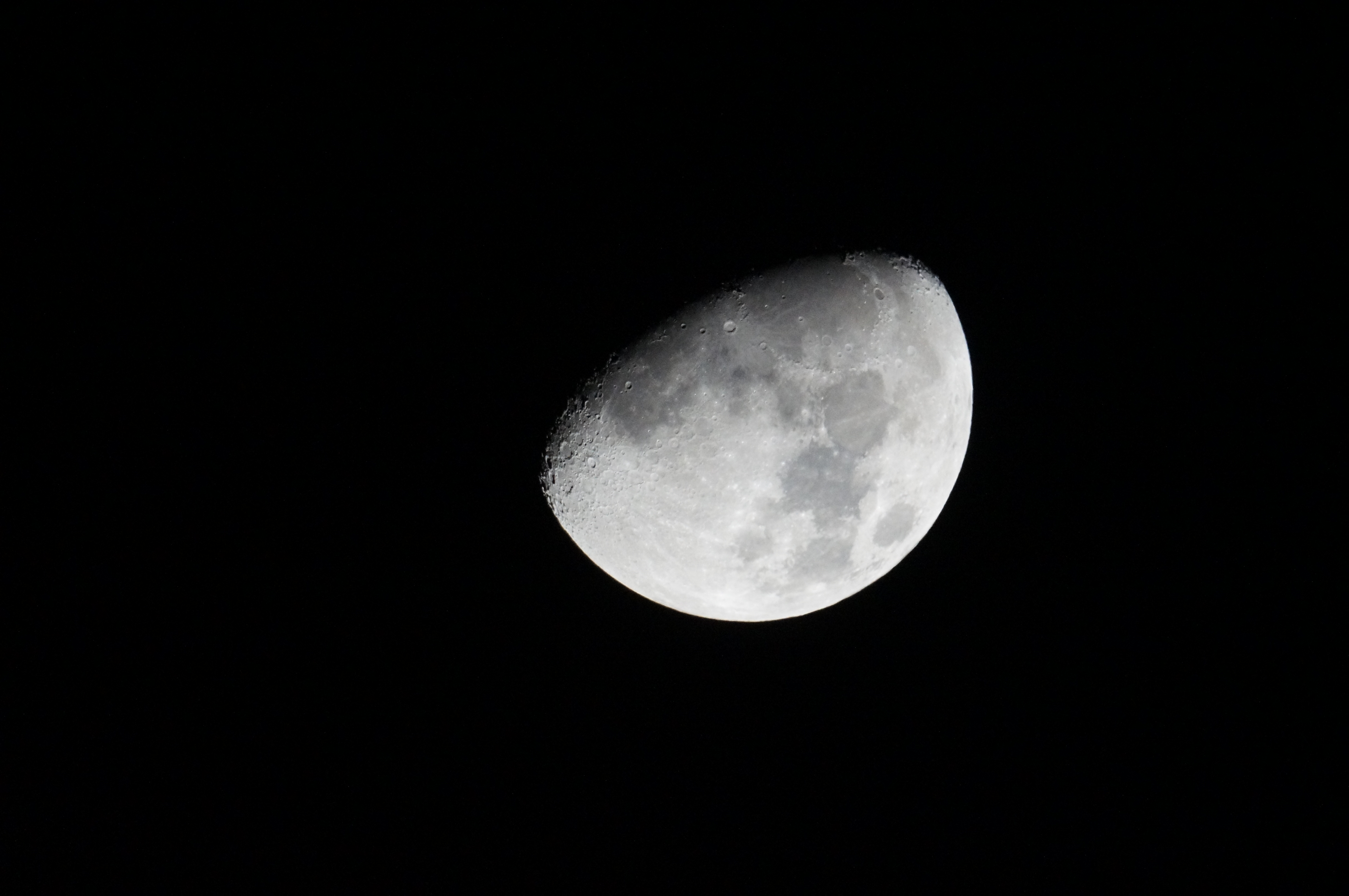 DSC05071.JPG