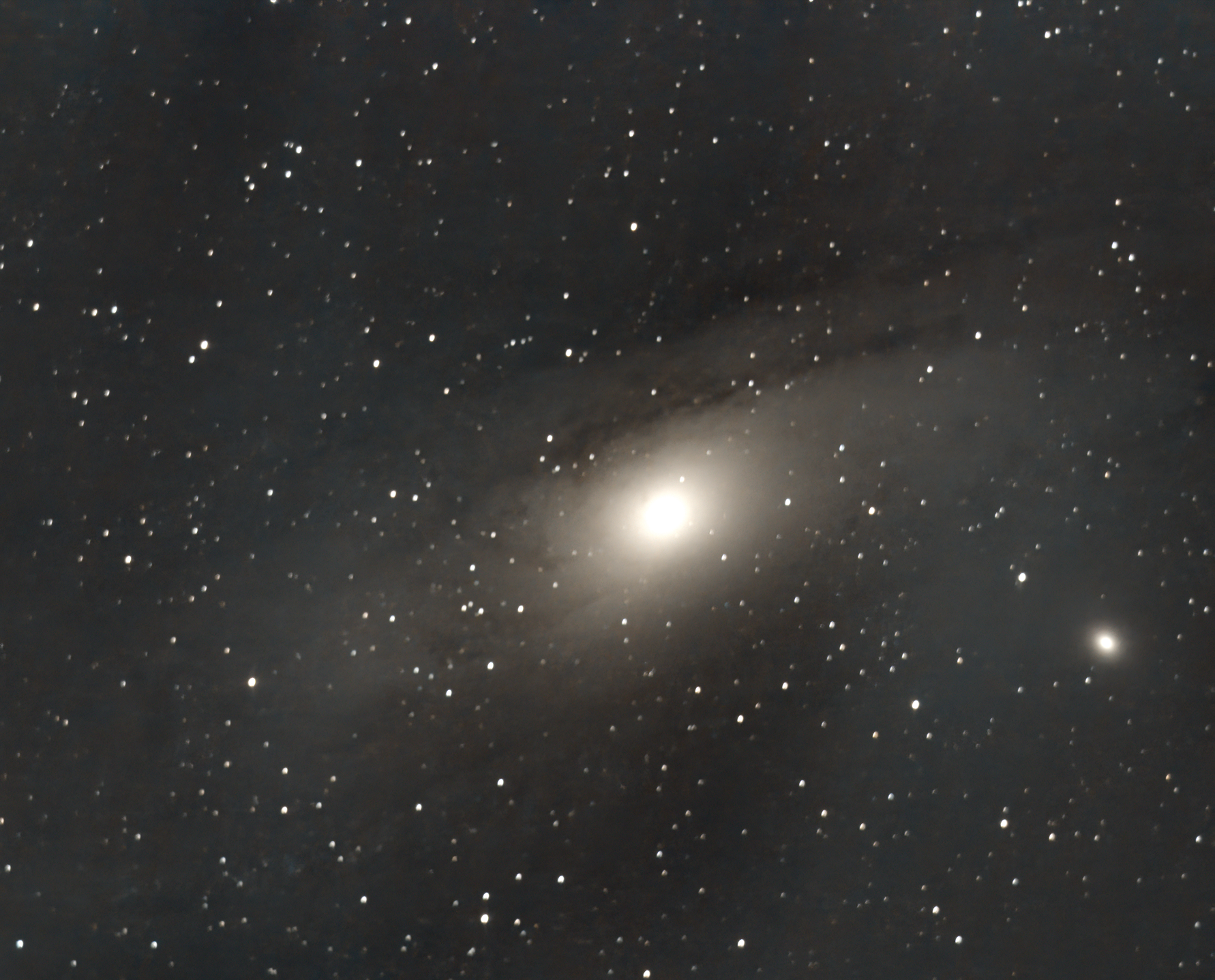 M31