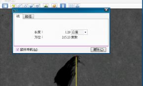 月亮上的不明物体