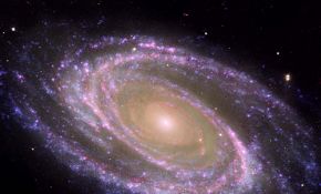 M81