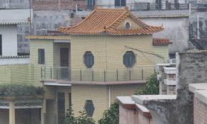 入手大姑妈200MM/F4，期待好天气