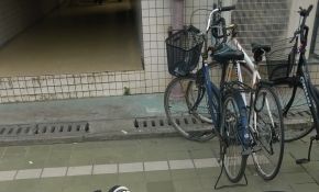从化小观测