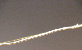 DC拍星座