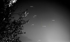 重庆雾气蒙蒙的天气，终于走到尽头了.记---城市星野金木篇