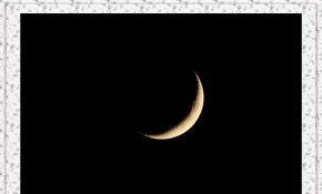 12月初四在学校拍摄的木星和月相