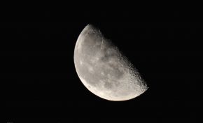 第一次拍下弦月，熬夜的猫不好当啊