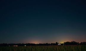新手的第一次星野，求大神指点~~~~