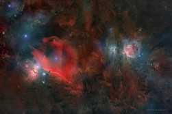 周五上山打个野